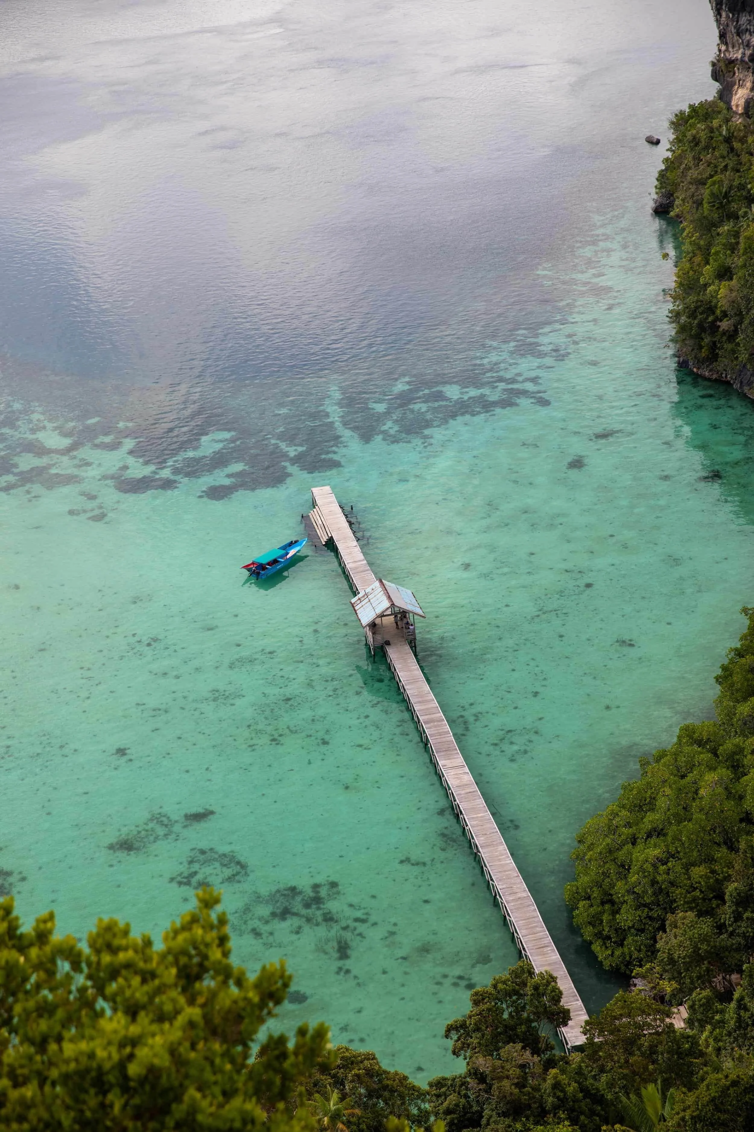jetty_raja_ampat_compressed_compressed.jpg