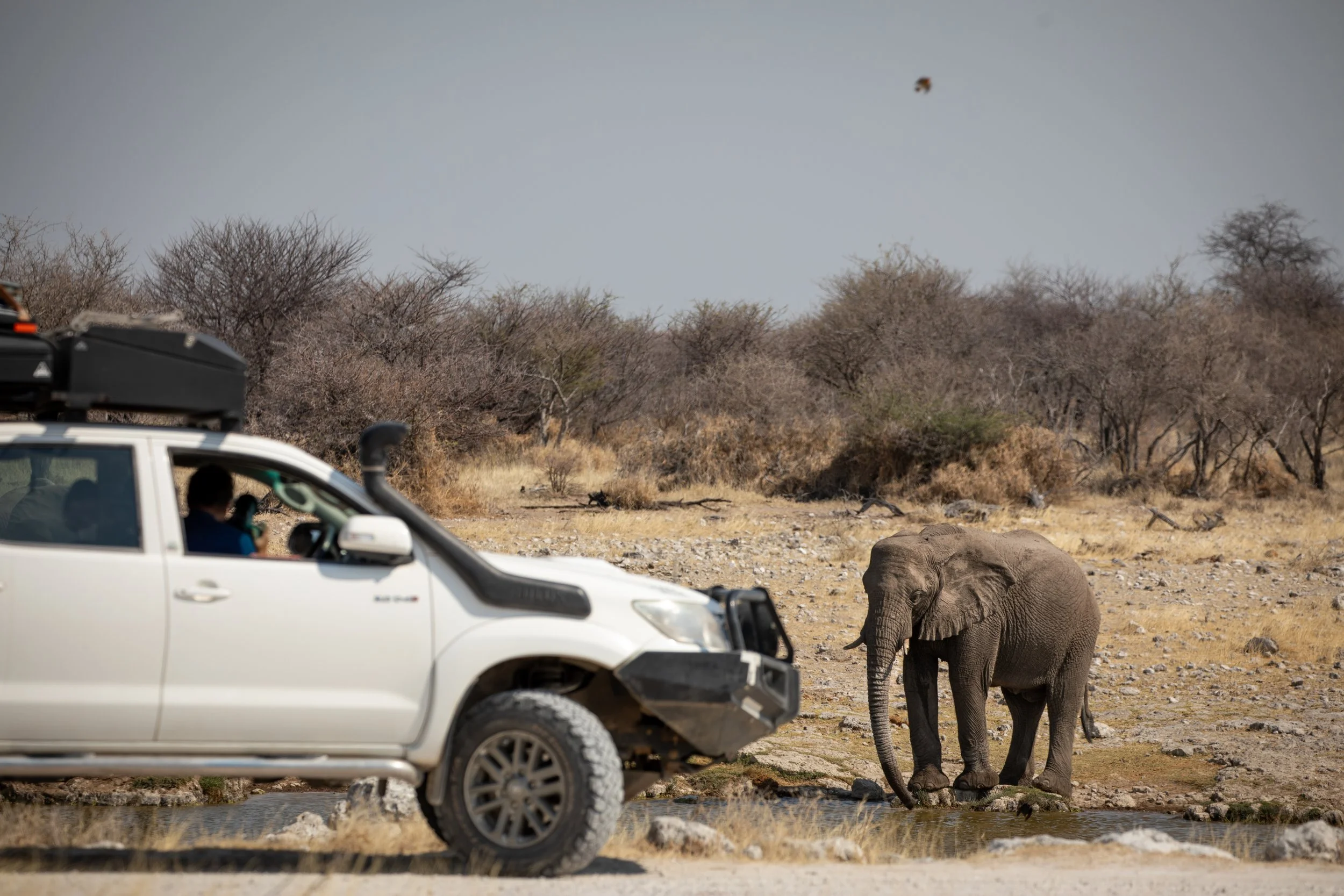 Namibia 4x4 Rentals Guide: Prices, Tips and What to Know