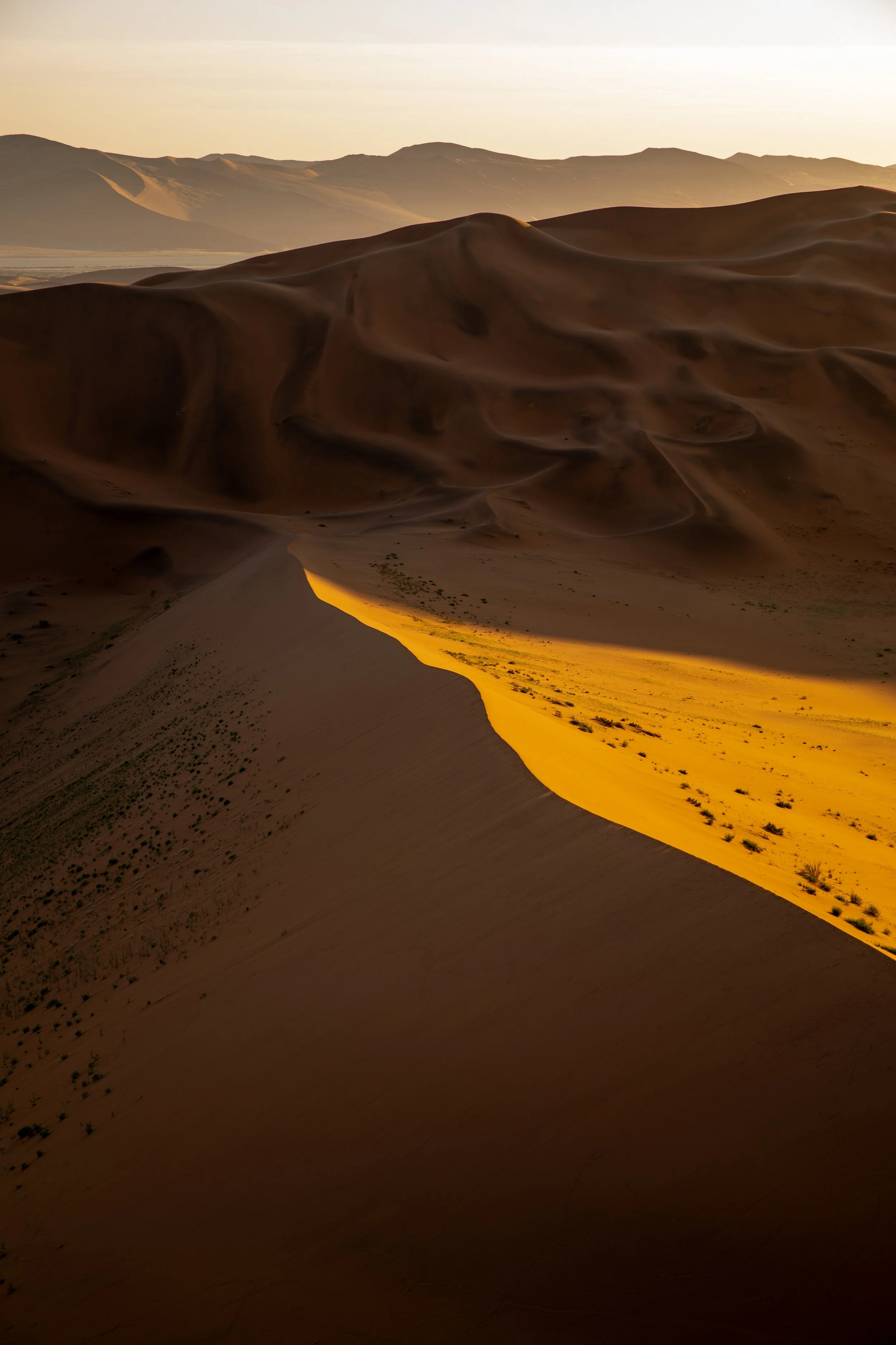desert_sunrise.jpg