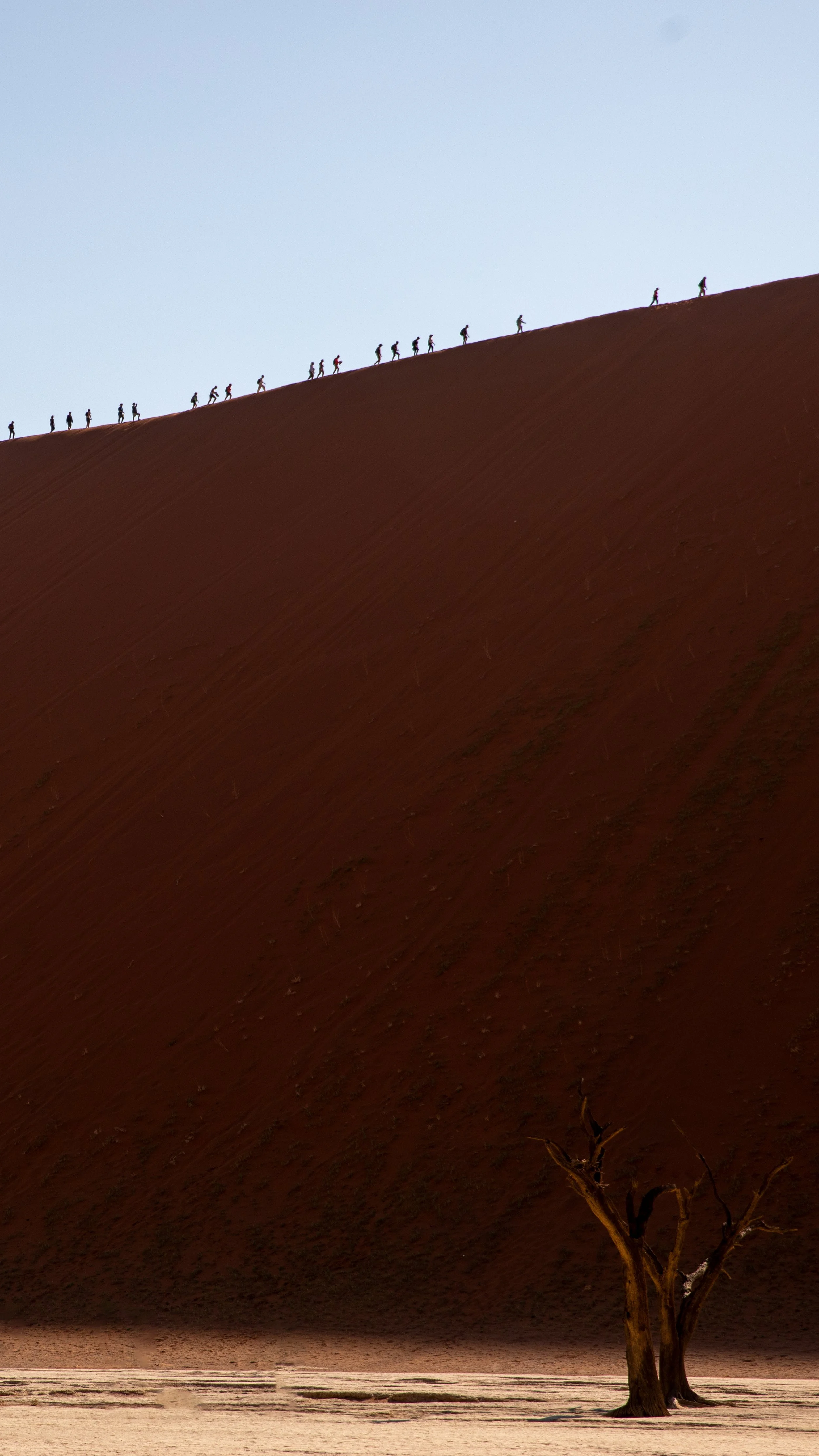 deadvlei_hikers.jpg