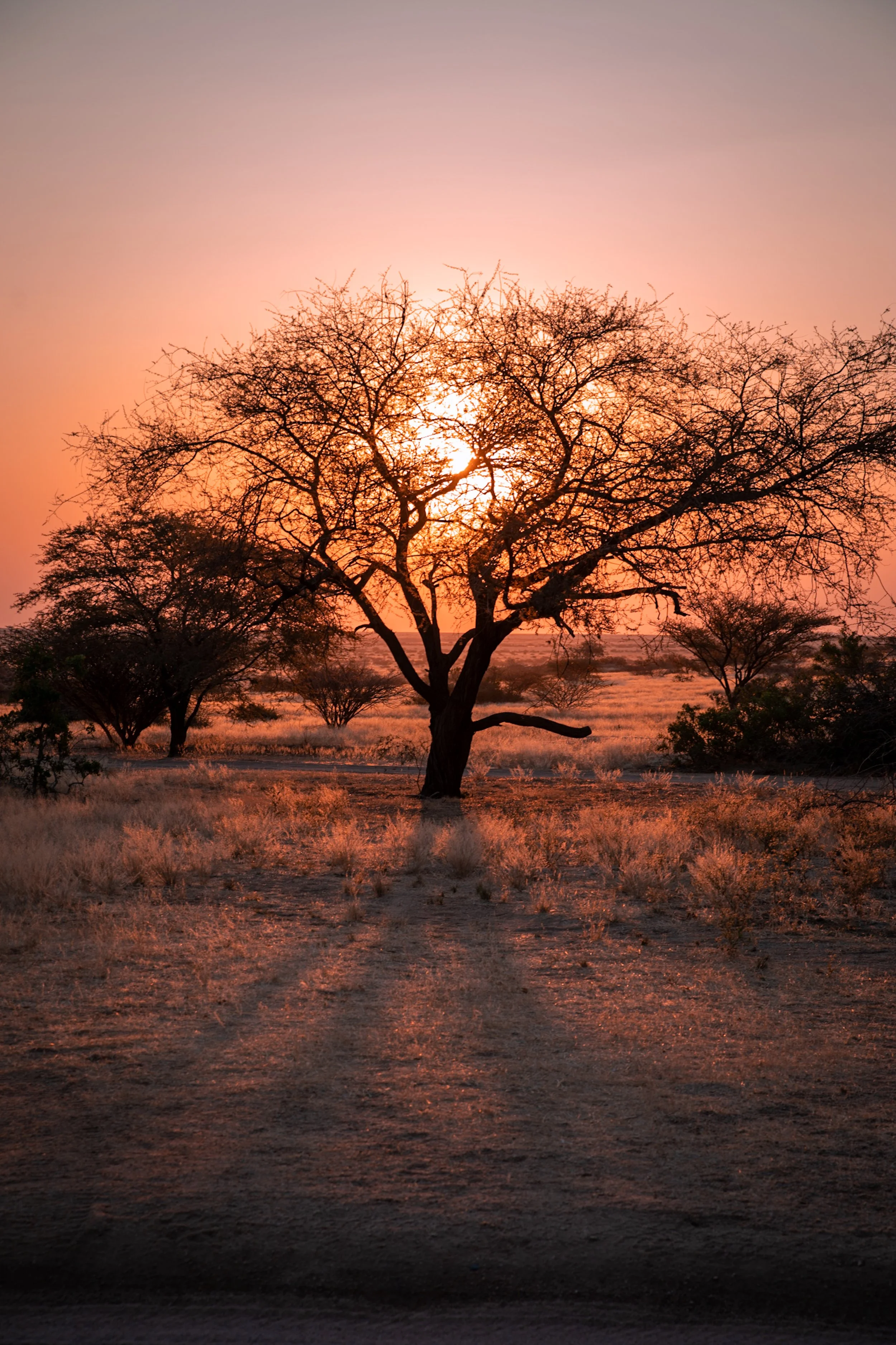 namibia_sunset.jpg