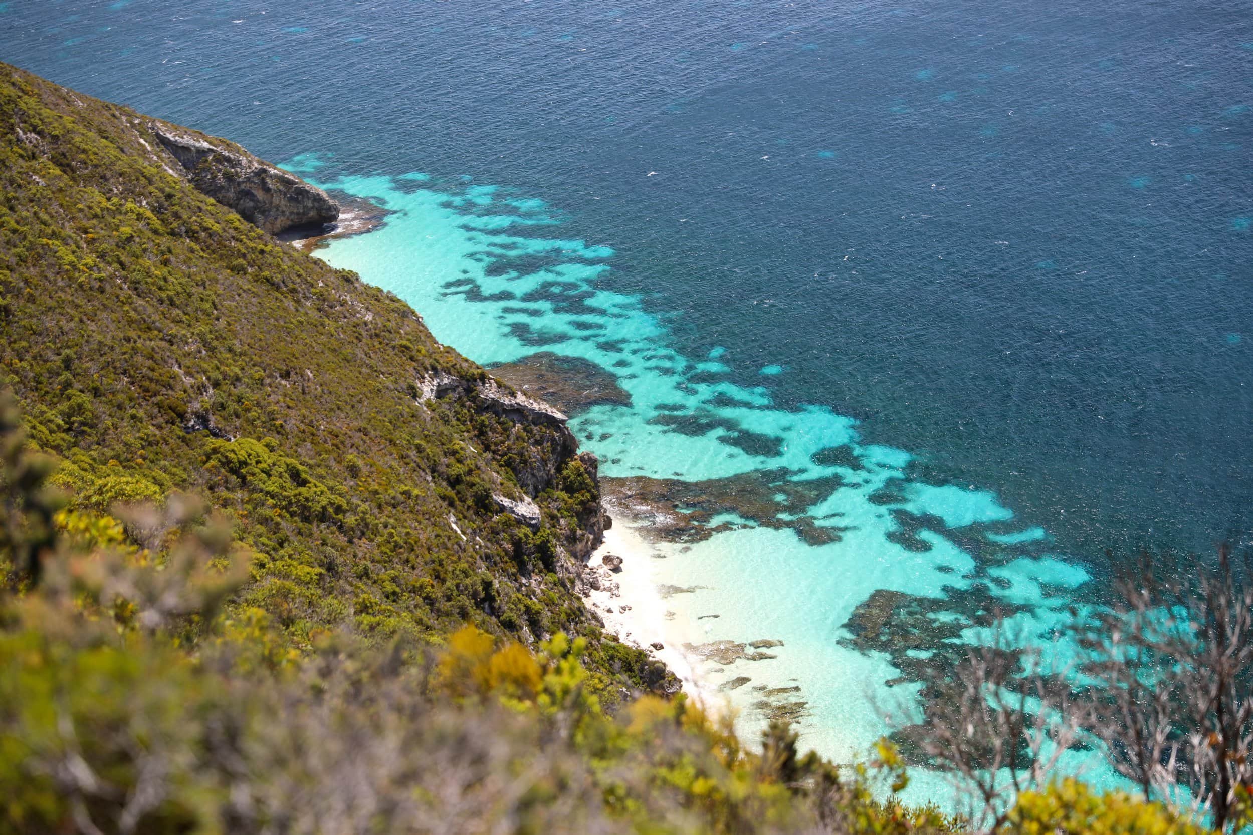 blue+water+albany_compressed.jpg