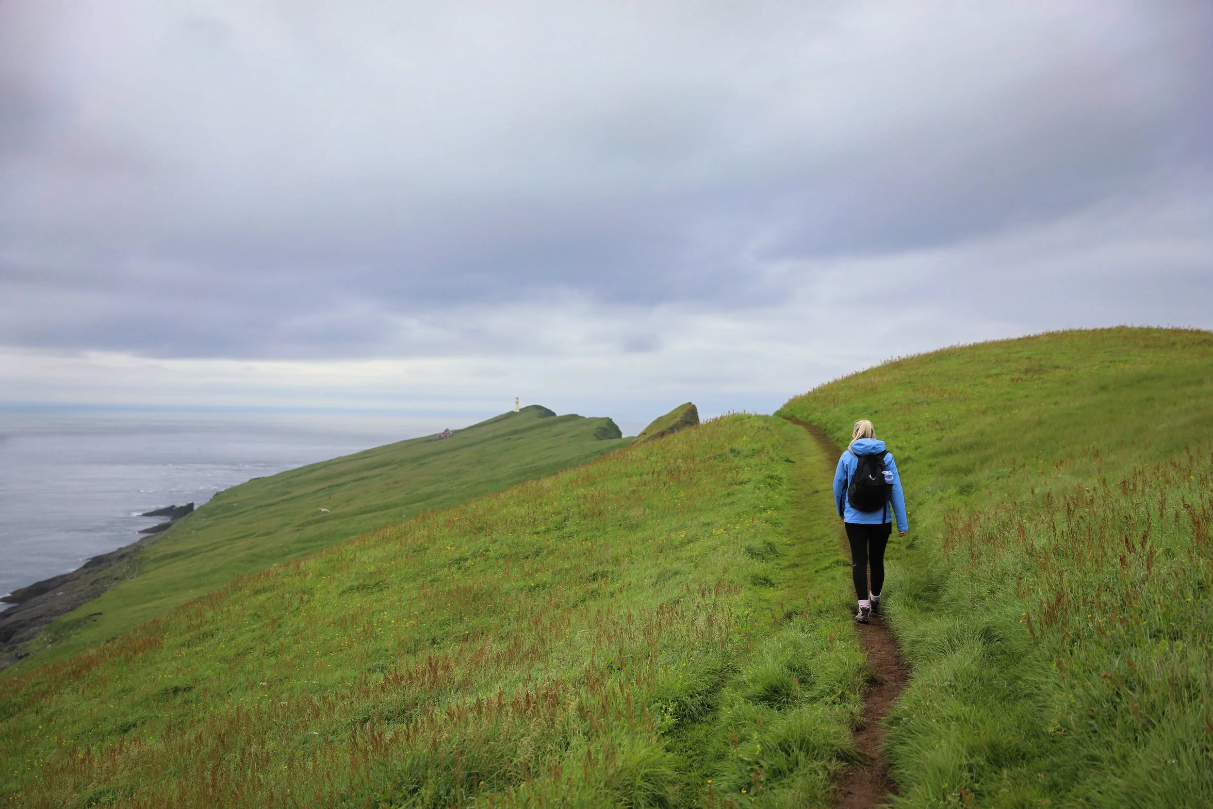 puffin tour in the faroe islands