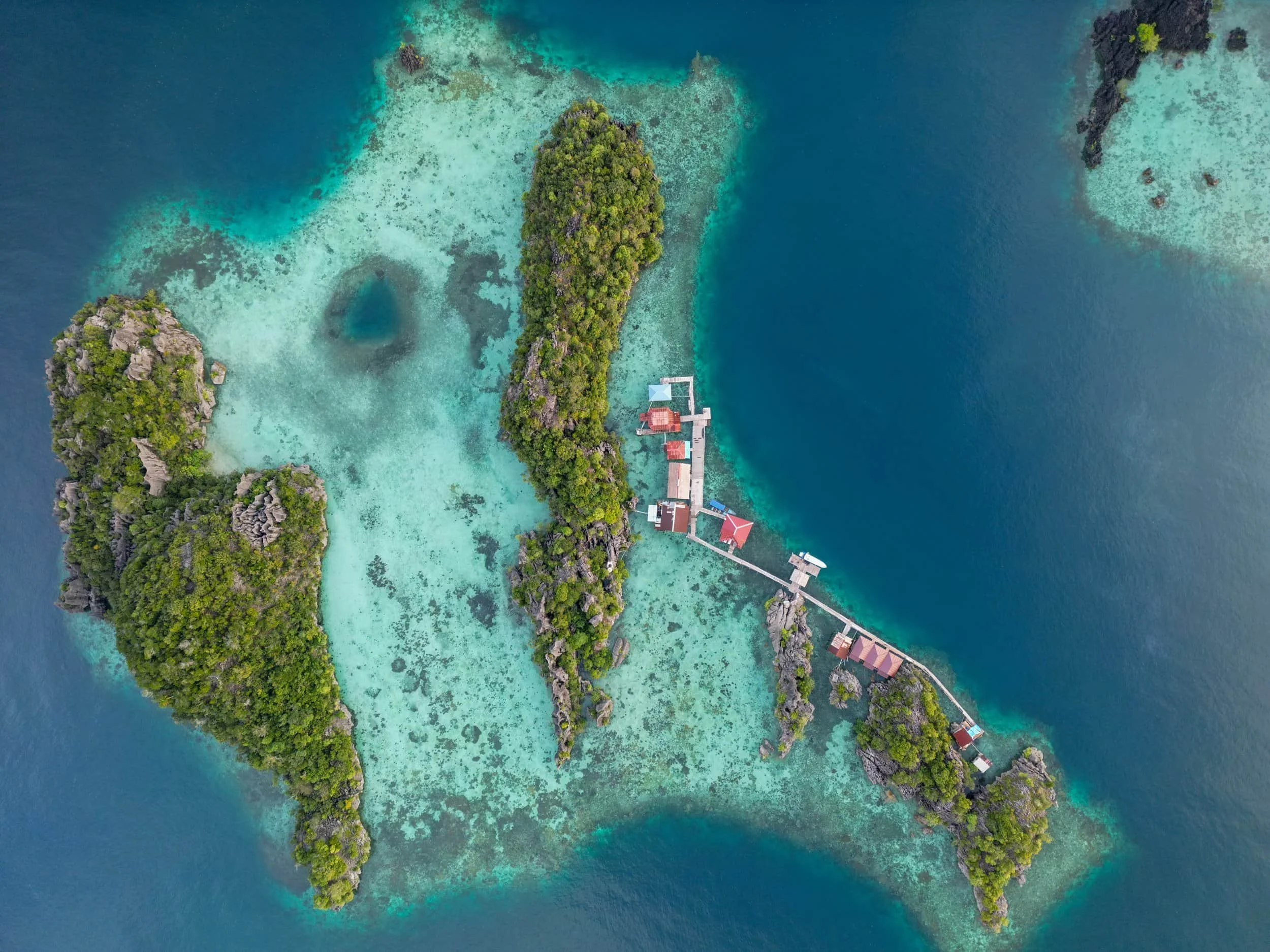 yammini homestay misool raja ampat