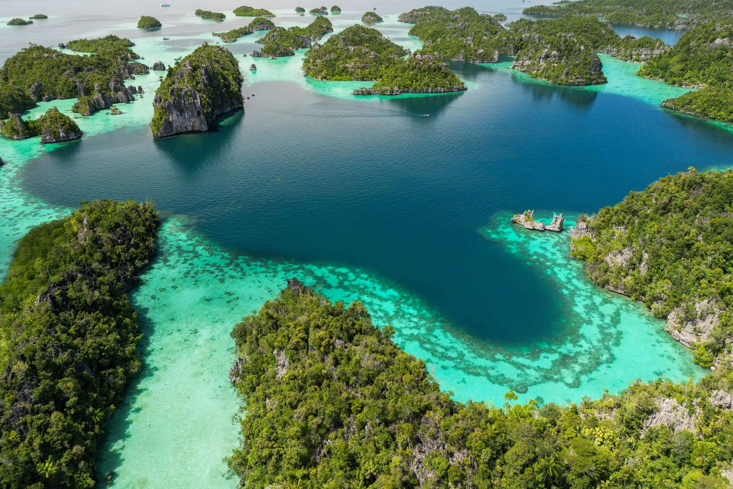 harfat jaya peak misool raja ampat