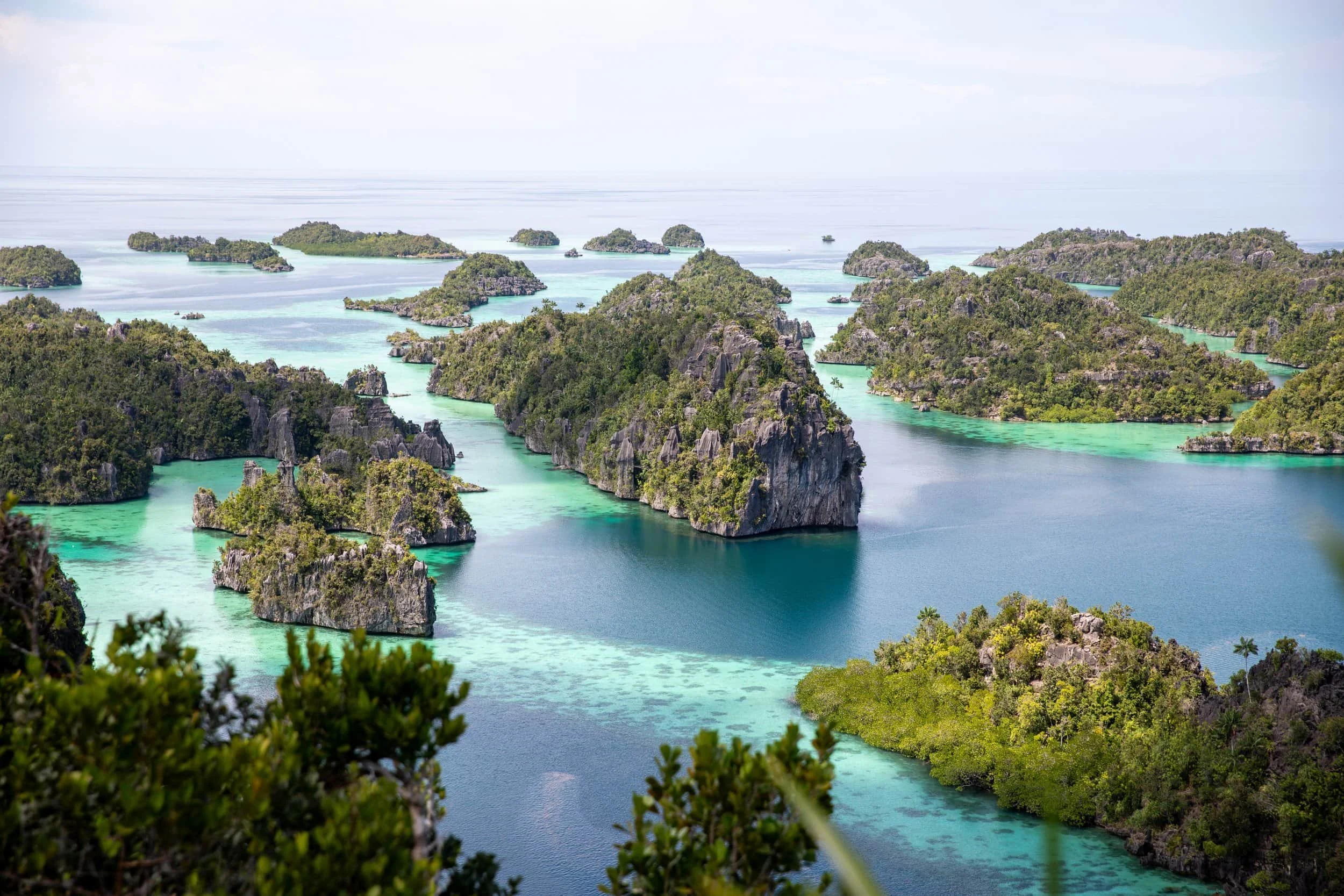harfat jaya peak misool raja ampat