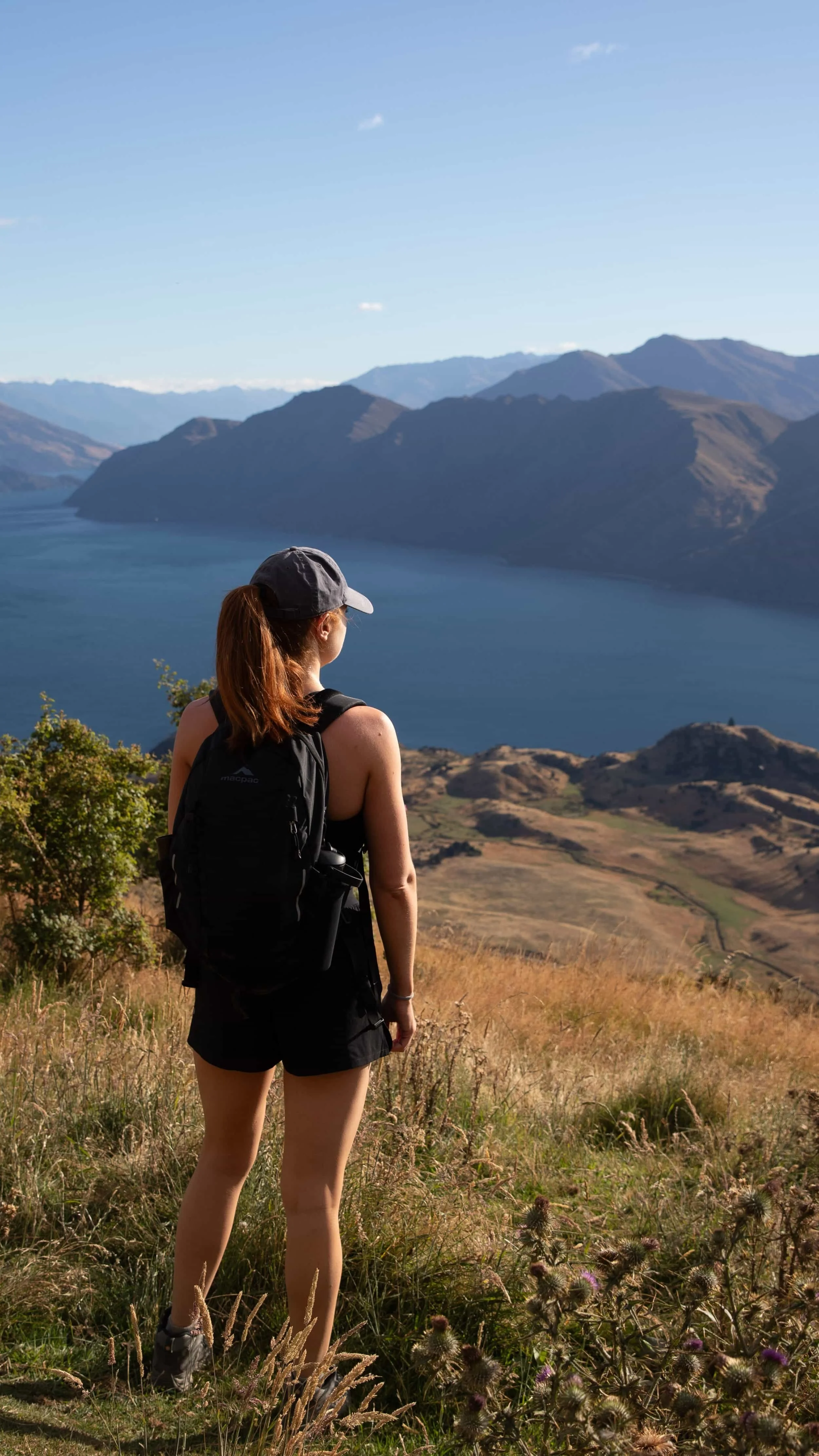Roys Peak Hike new zealand