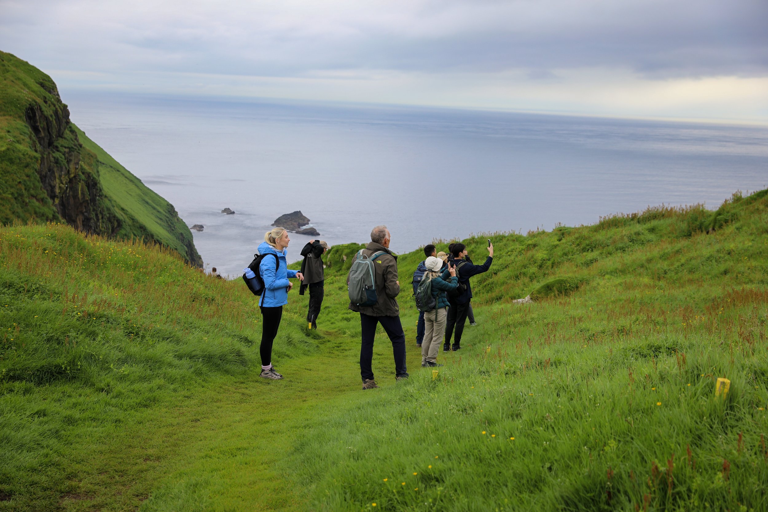 puffin watching tour faroe islands