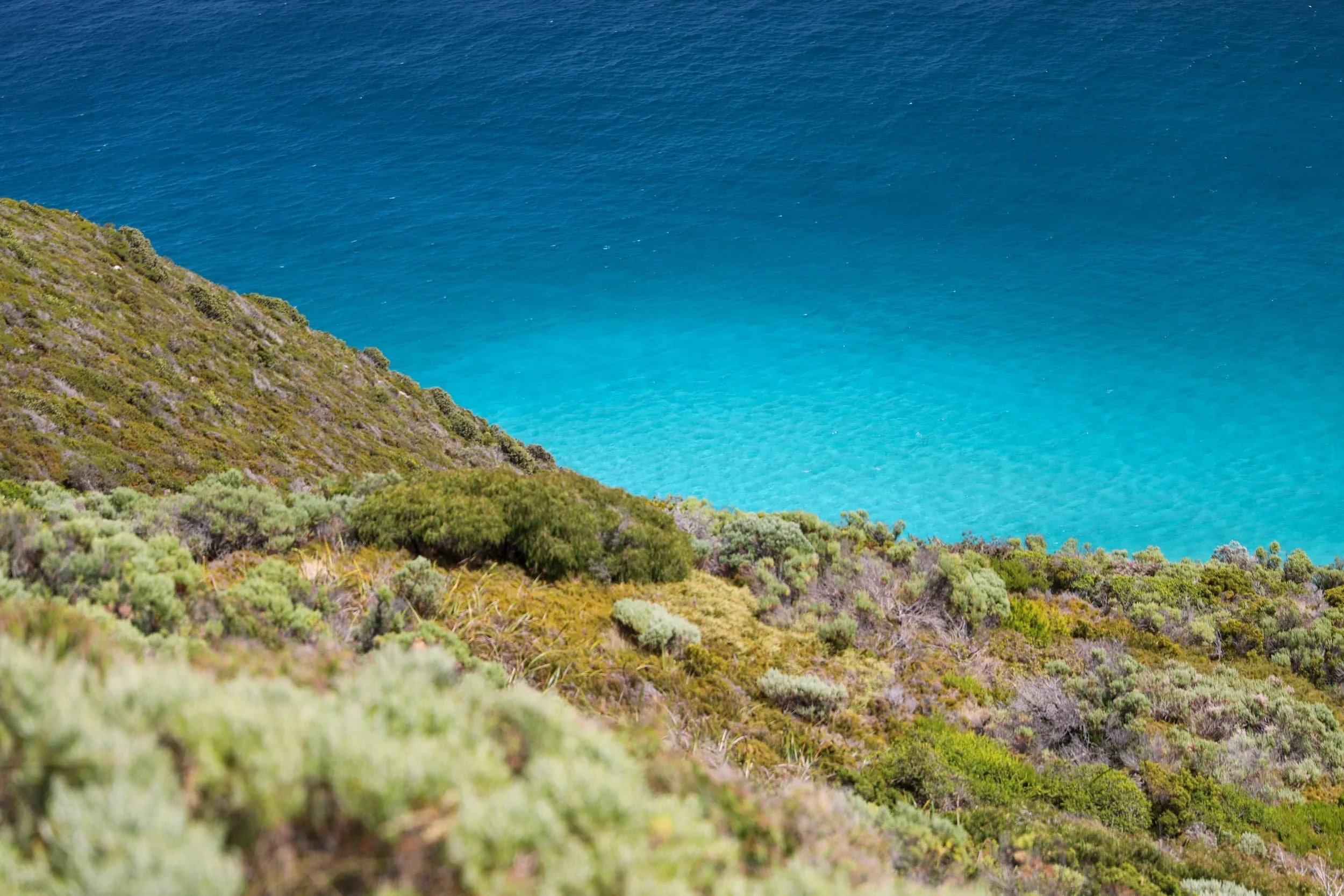 bald head hike albany western australia