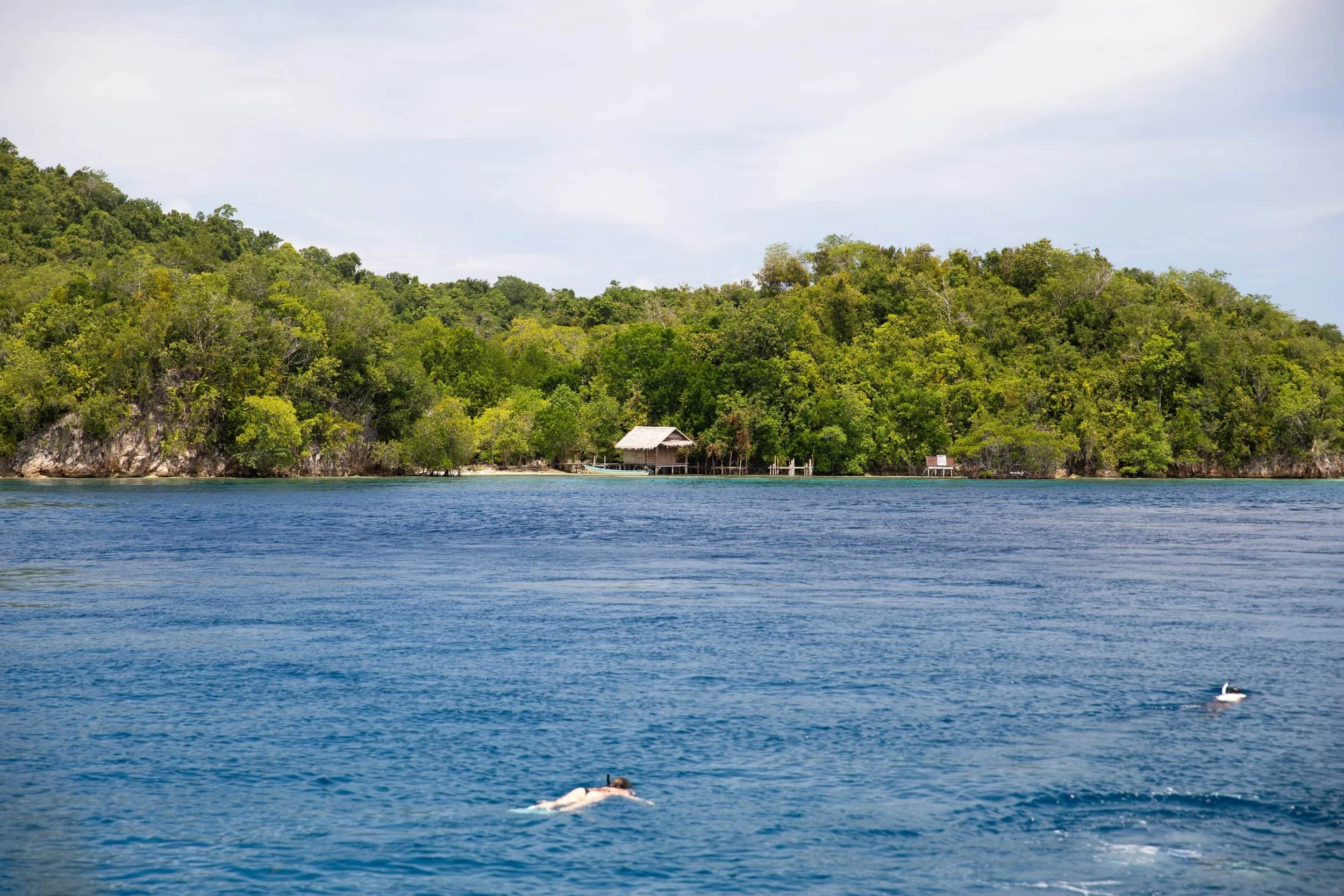 gam island raja ampat snorkeling