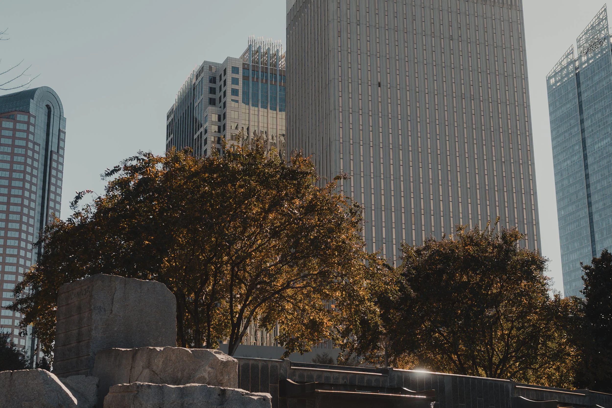 Sunlight shining through rich autumn trees with towering modern skyscrapers in the background, creating a natural-meets-urban scene for contemporary apparel.