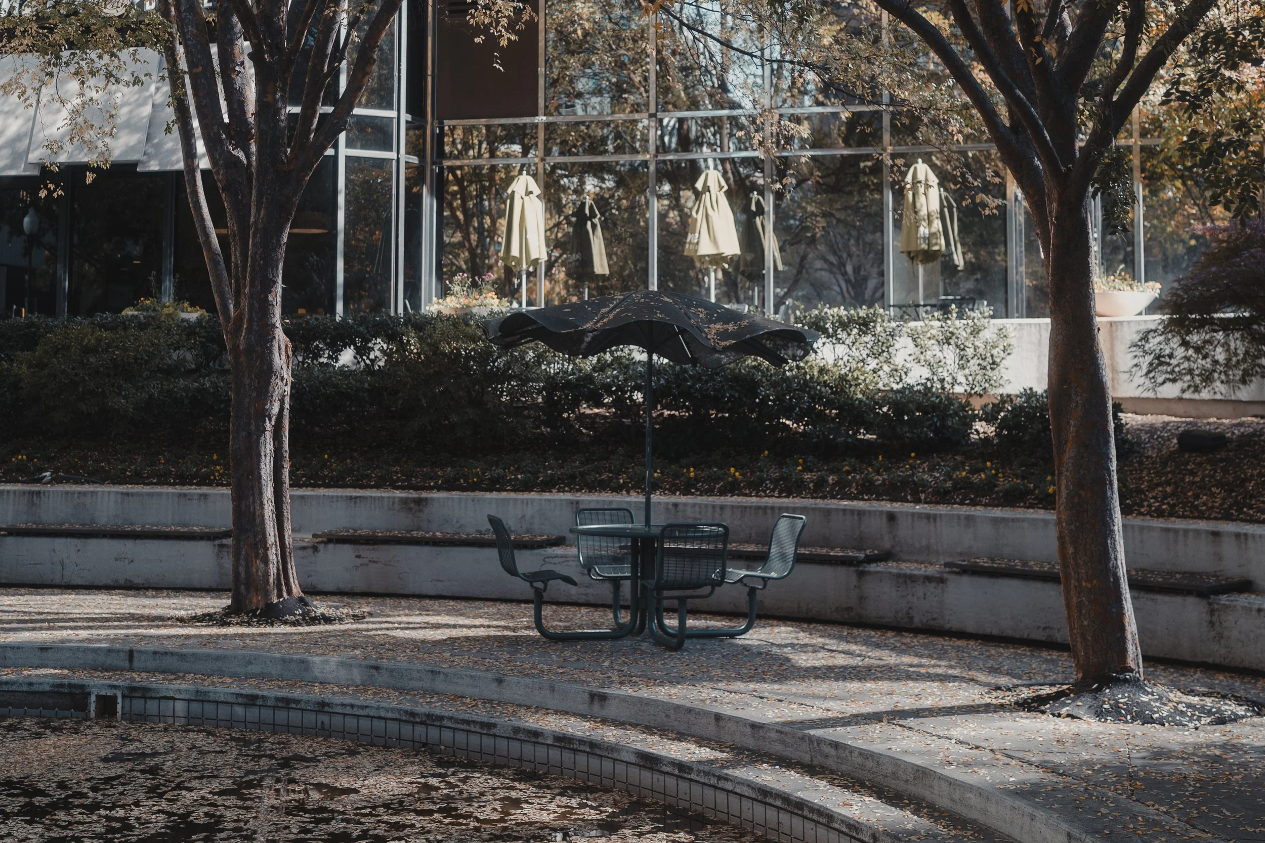 Outdoor courtyard seating area beneath an umbrella and trees, offering a peaceful, aesthetic setting for relaxed lifestyle content.