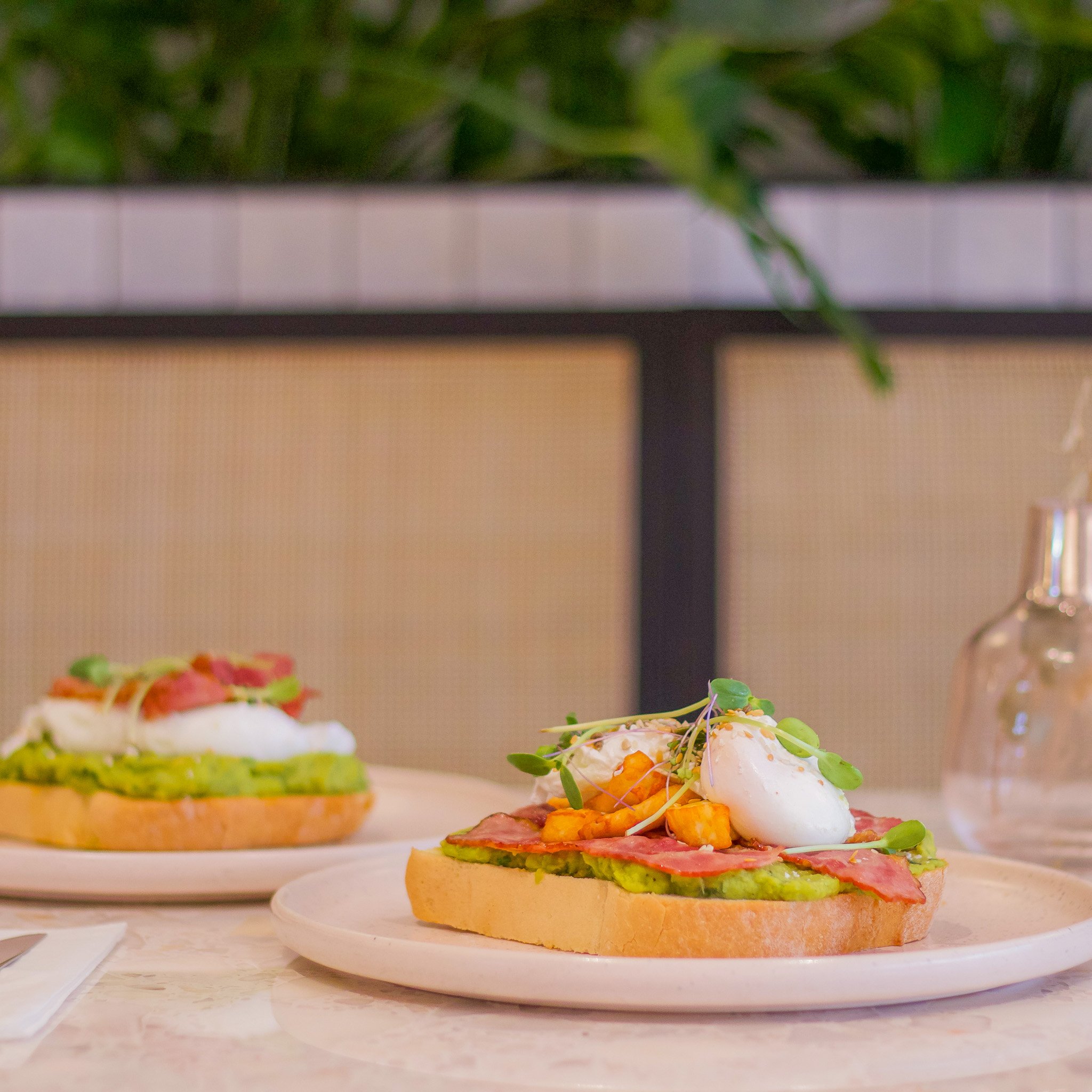 Toast with avocado, bacon, poached egg, and microgreens on a plate, with another similar dish in the background.