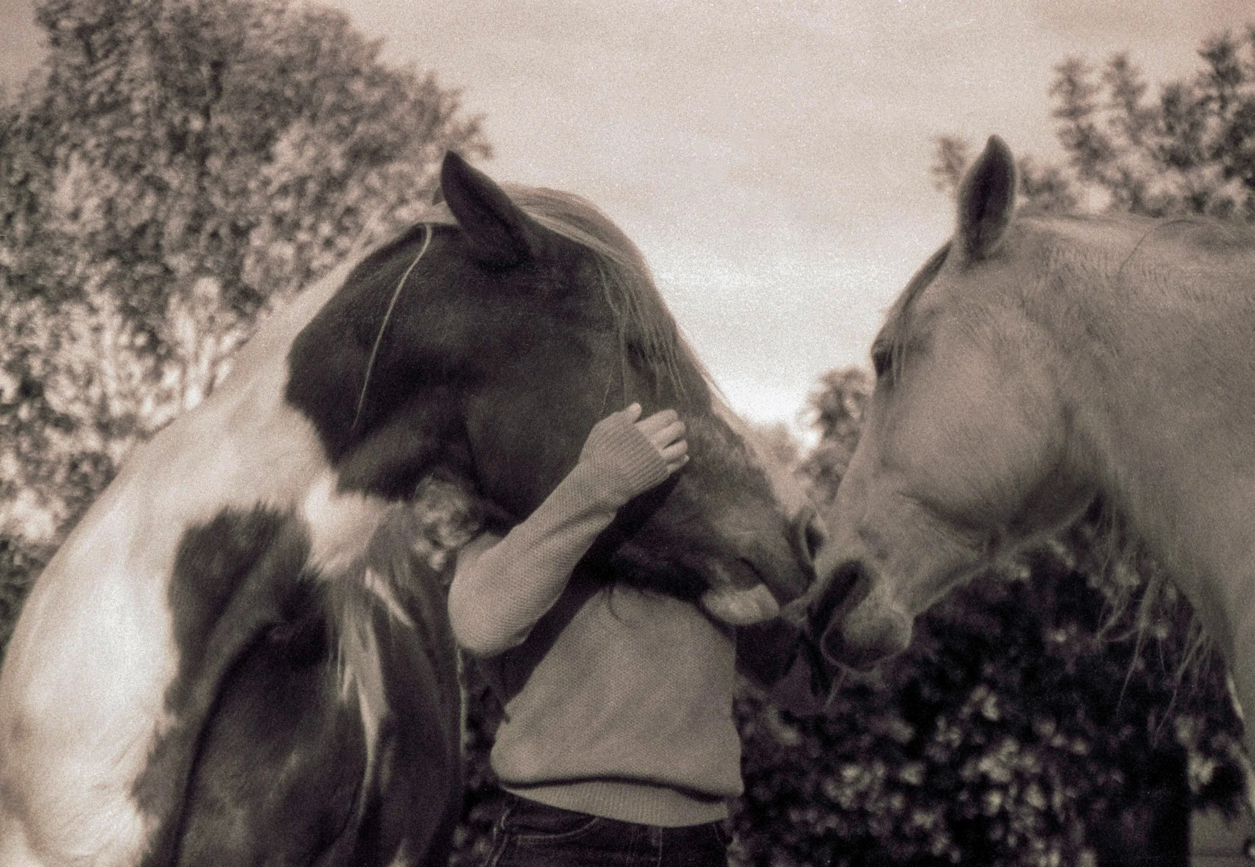 edTerra Indigo IP KM400 Jan25 (30) copy 2-2.jpg