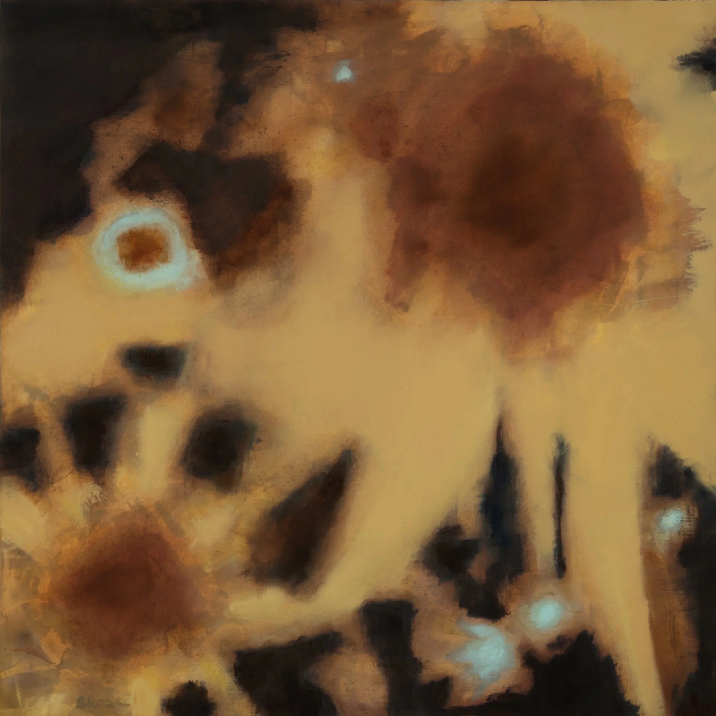 Sunflowers, 2026 oil on panel 16" x 16"