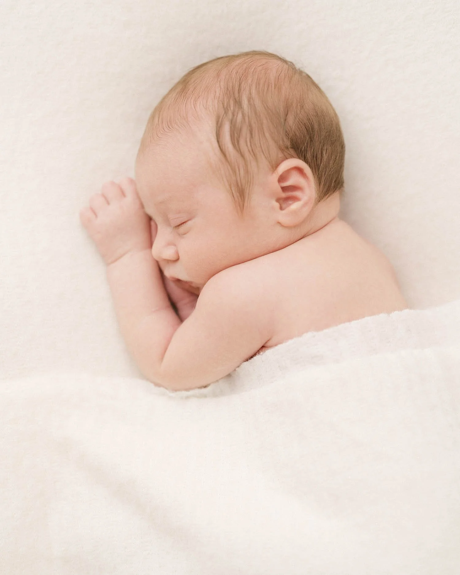 Sleeping newborn baby portrait in a Charlotte, NC photography studio