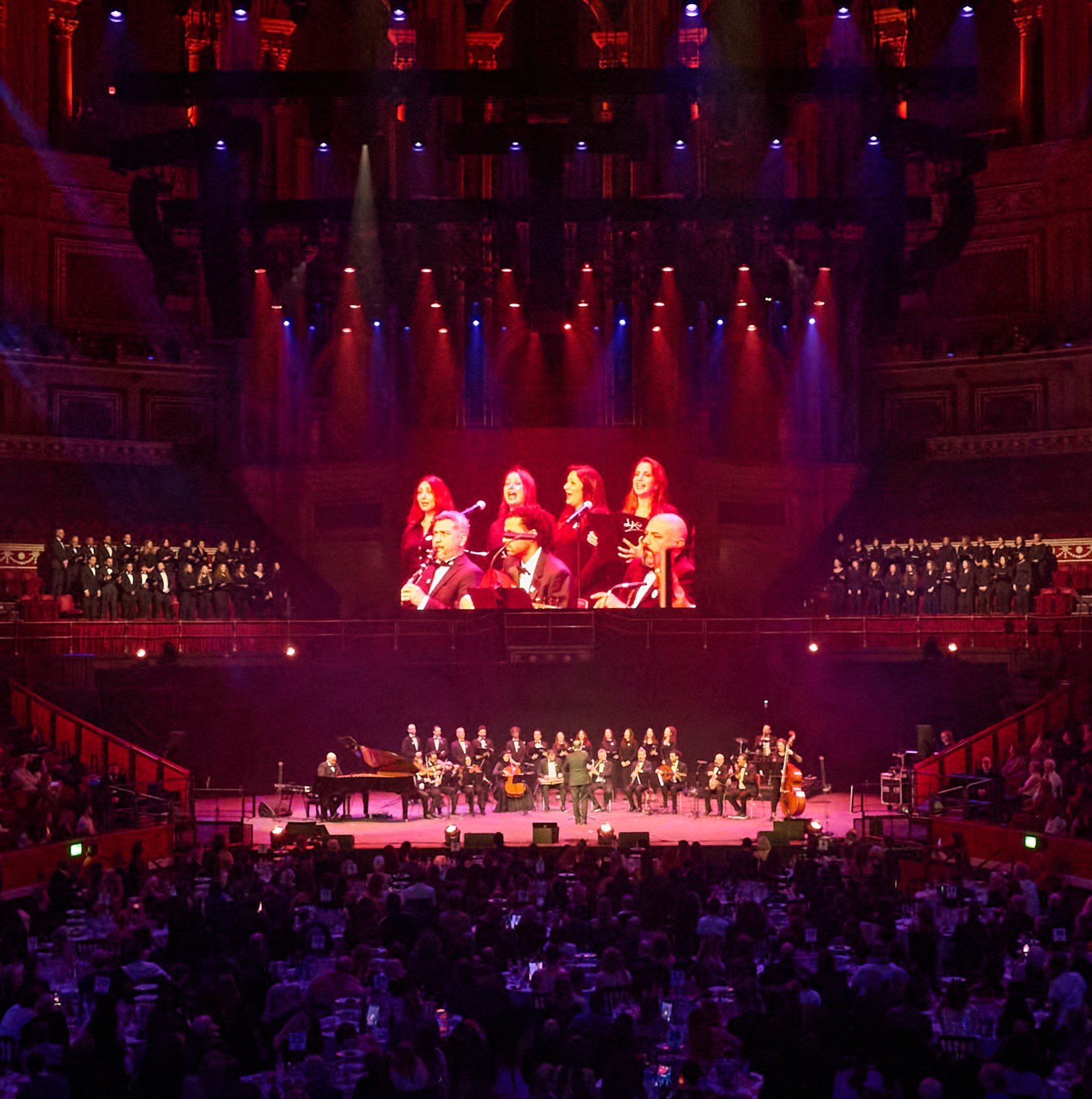 At the Royal Albert Hall, 10 Years of Choose Love 20/11/2025