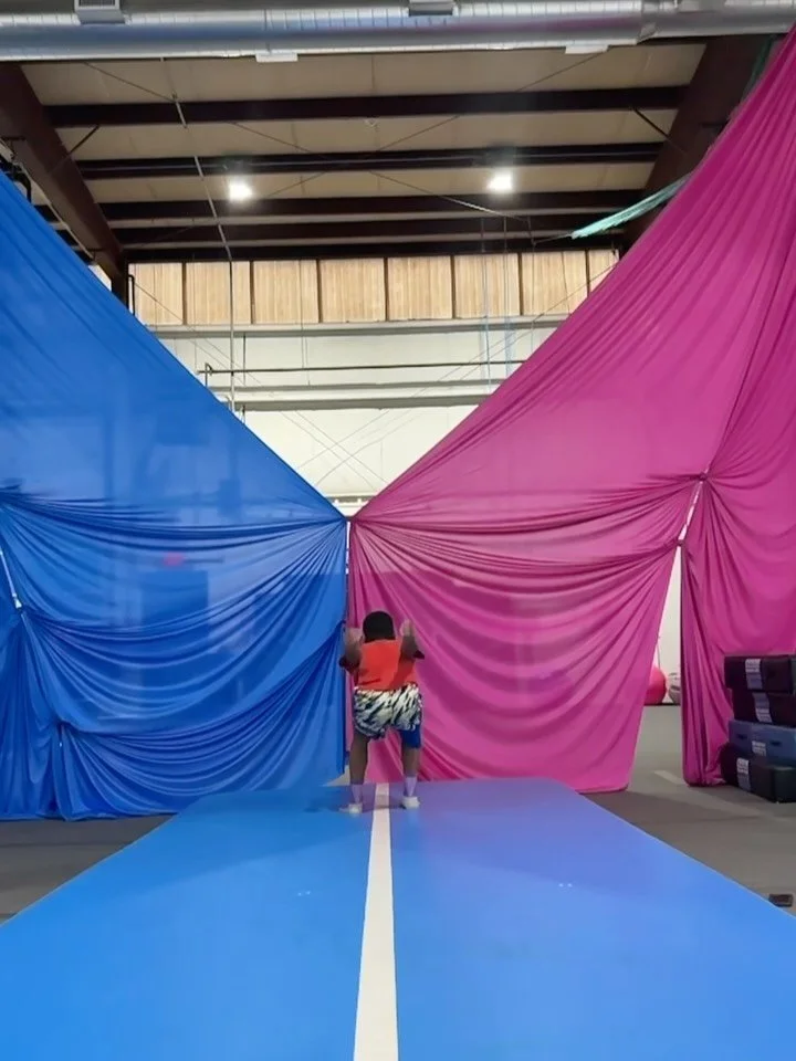 We made it!!!!! Here's a look back at our 2025 🤩 

We want to extend a HUGE 'thank you' to all of our friends, family, community members, partners and supporters... we could not have made it through this year (or the next, or the next) with so many 