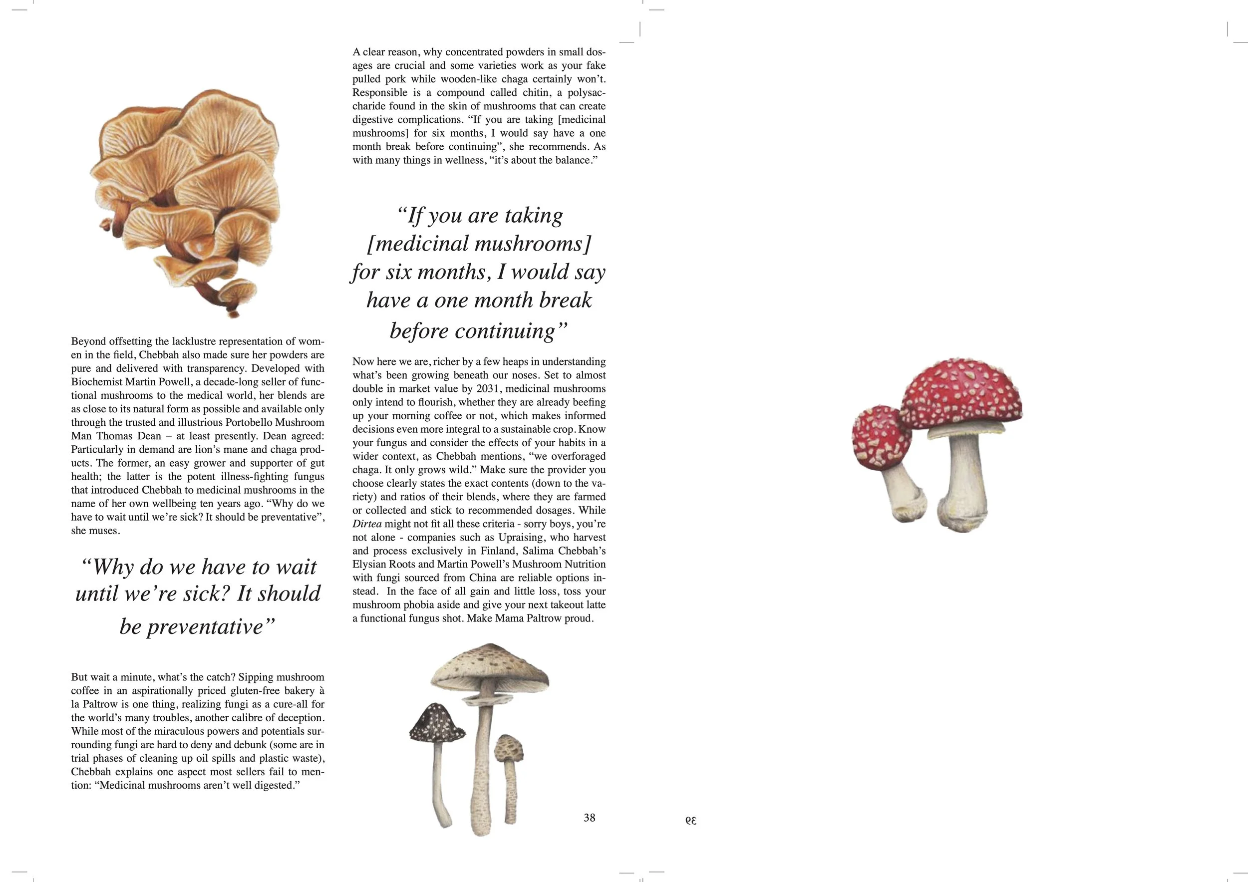 Shroom-Boom-Print-2.jpg