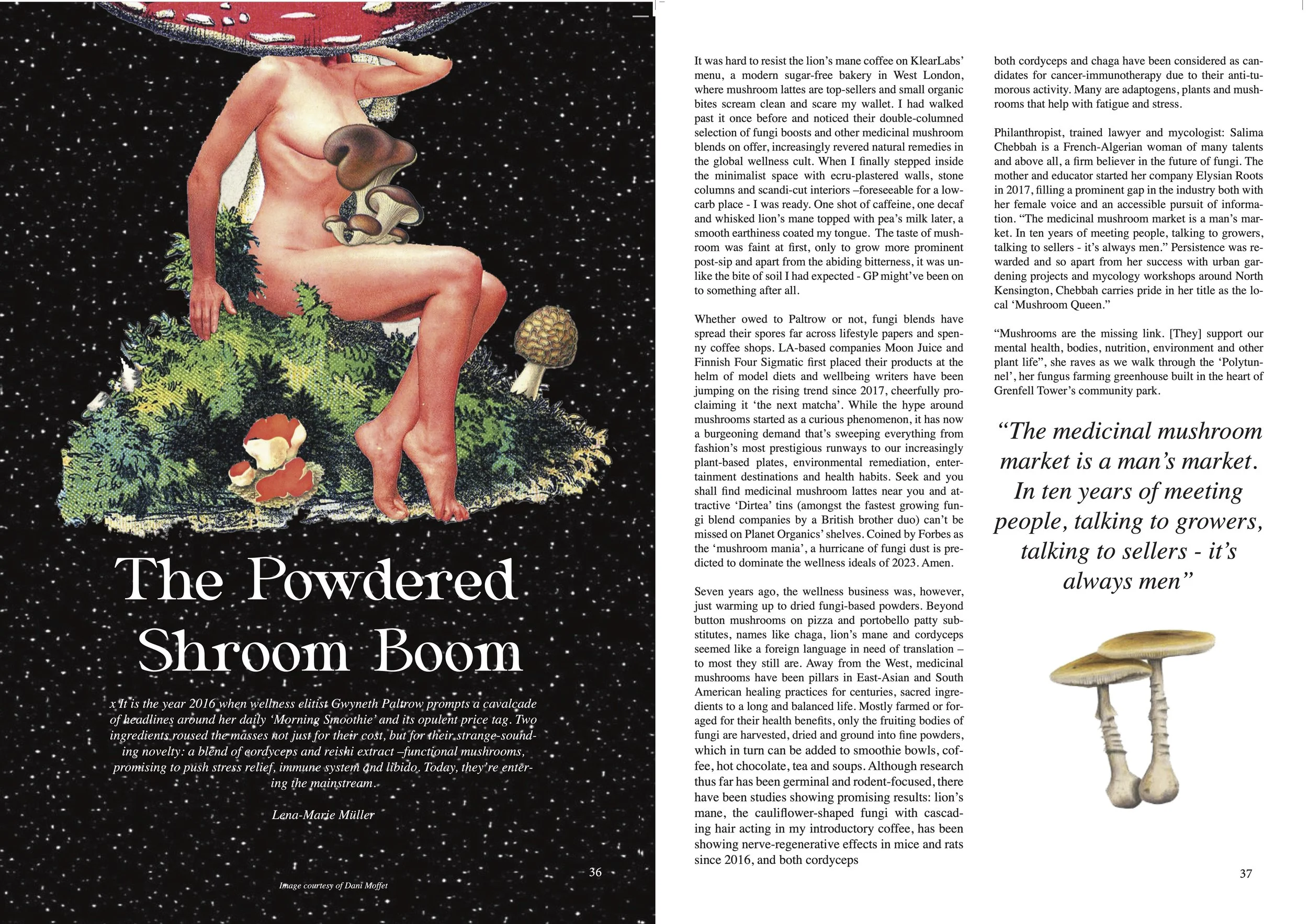 Shroom-Boom-Print-1.jpg