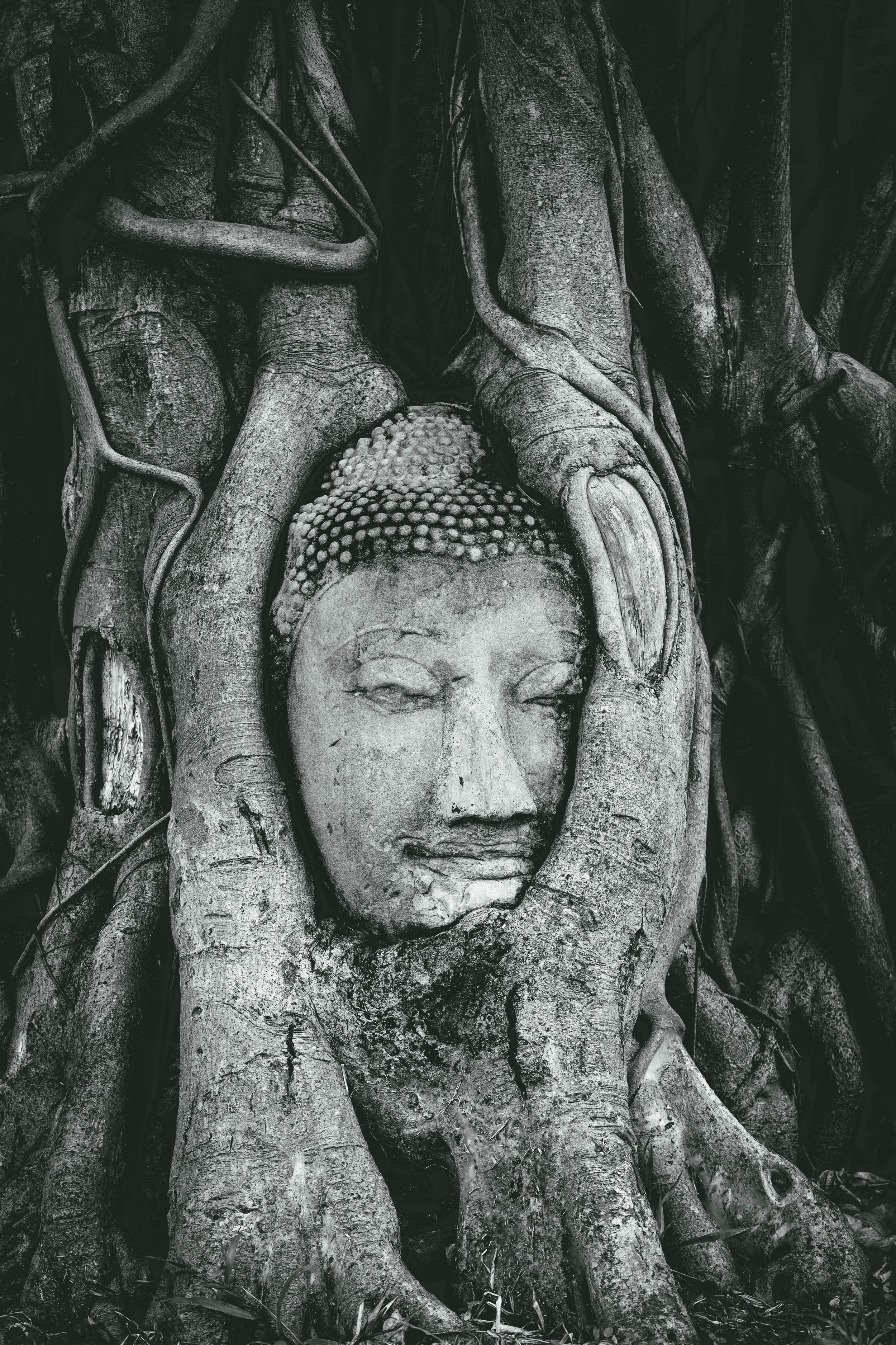 thailand-3.jpg