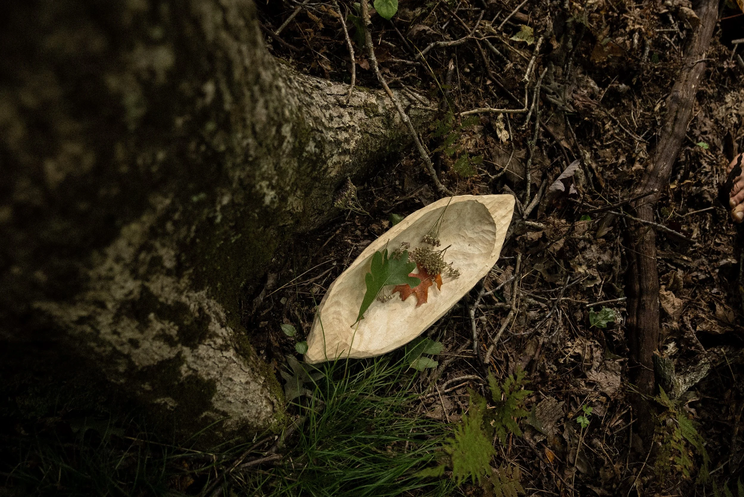 Tree Spirit Songs