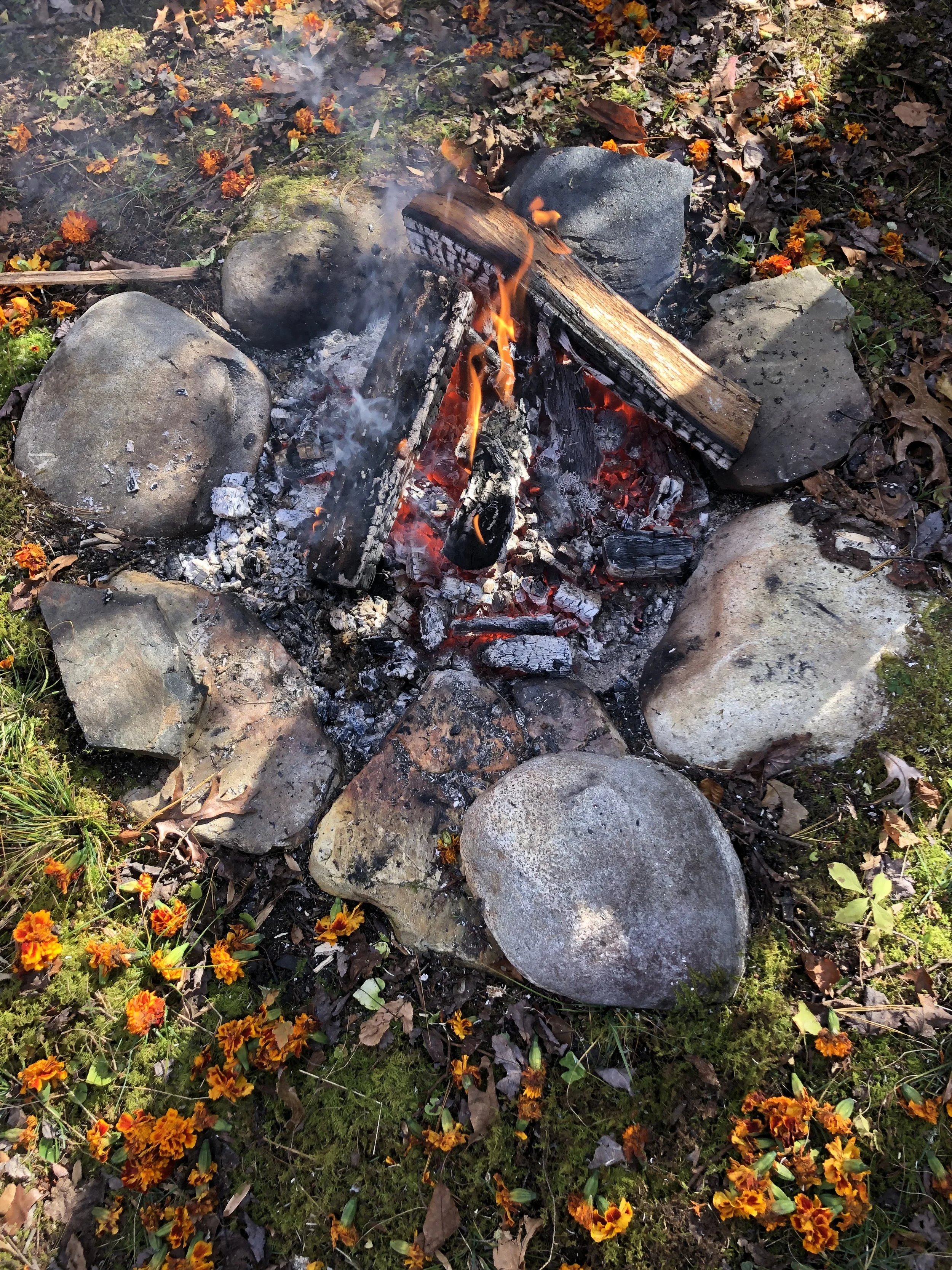 Singing Our Place in Ecosystems 