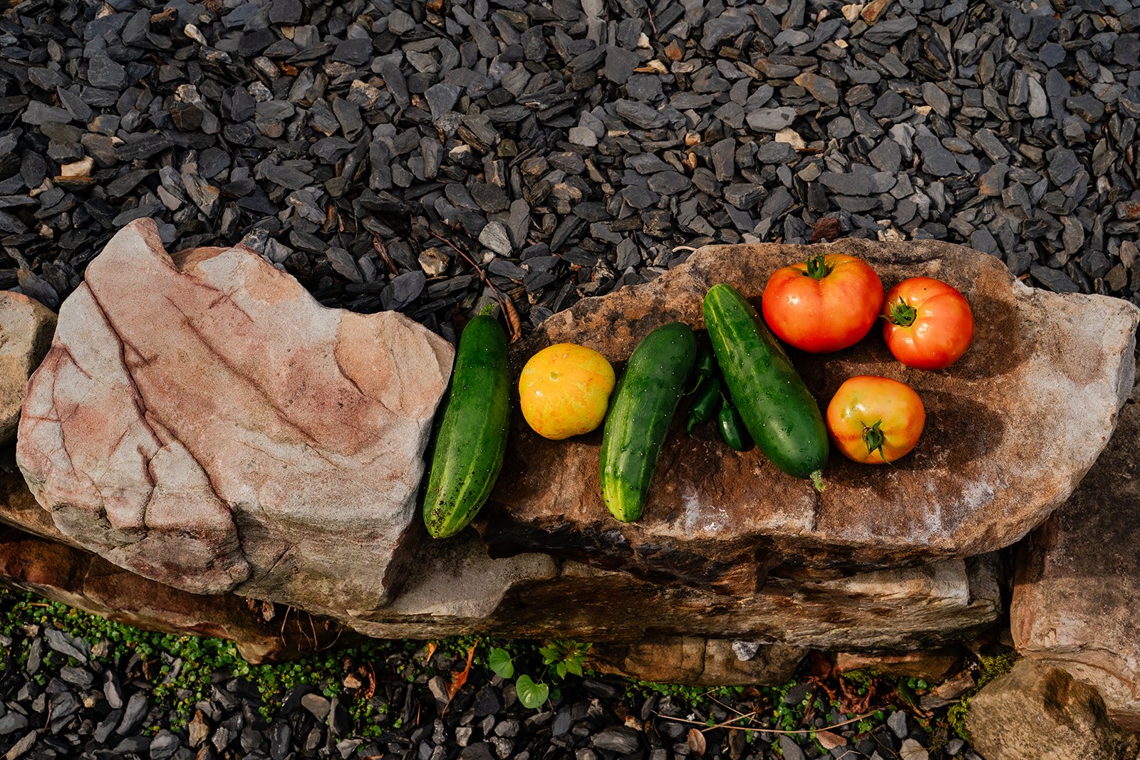 vegetables on a rock wall