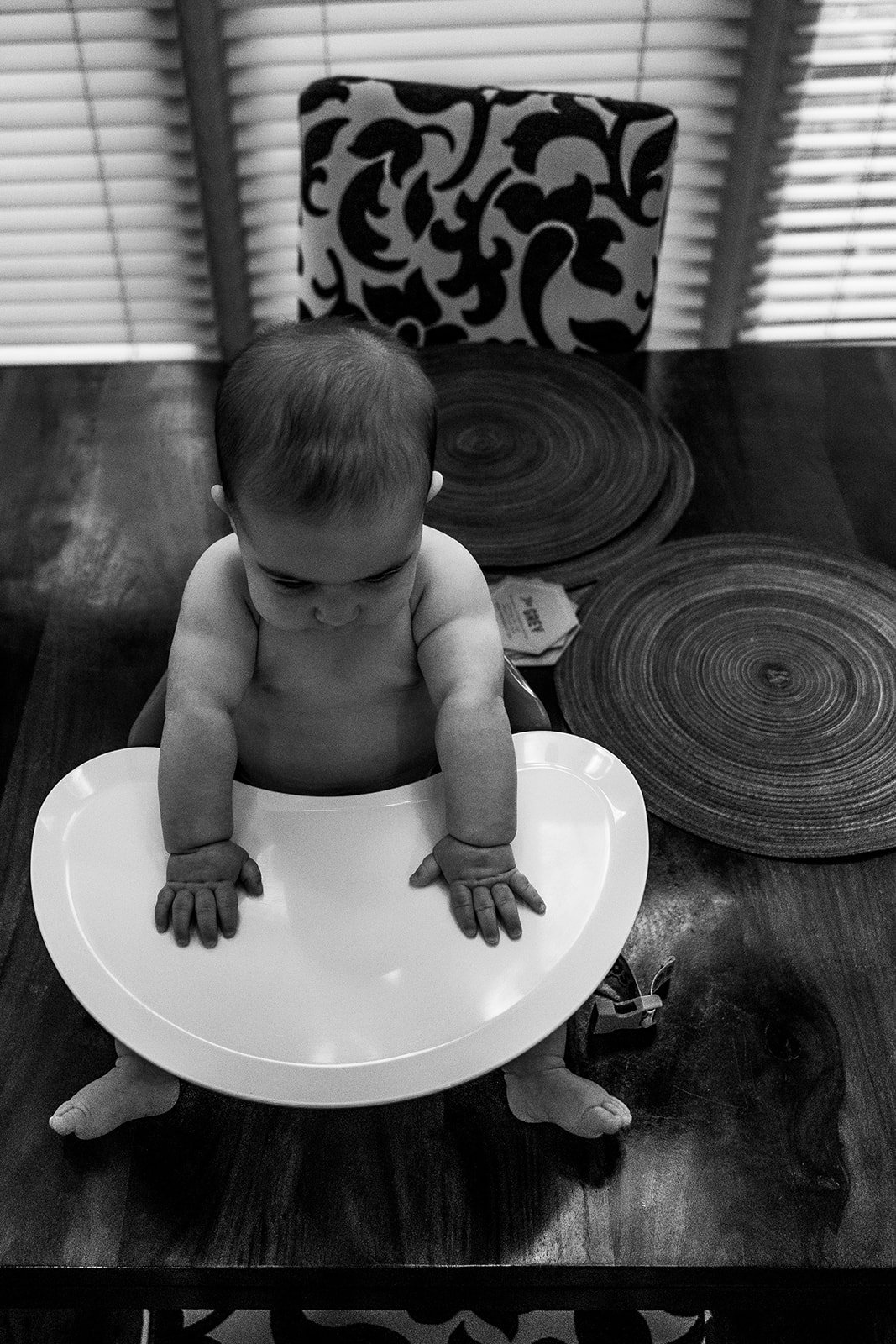 Freddie_6Months_4.15.2023_124_websize.jpg