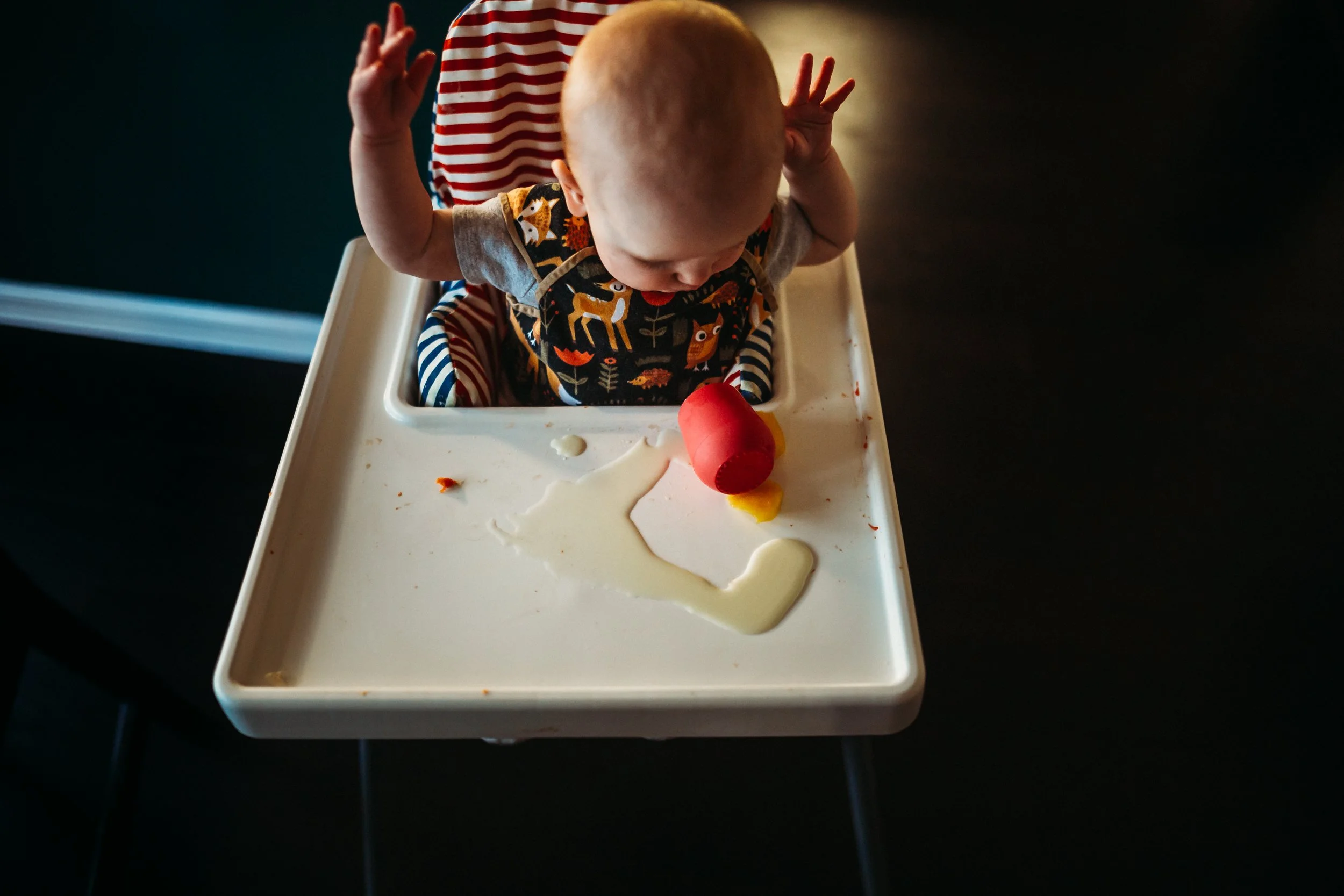 6 month old baby in a highchair at home in Atlanta