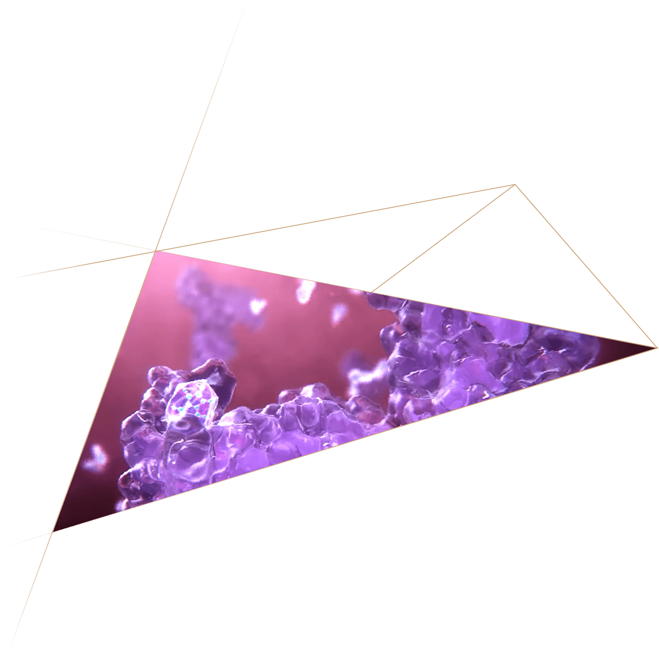 Close-up of purple crystalline structures inside a transparent, elongated, shaded geometric shape with a black background and gold-outline geometric lines.
