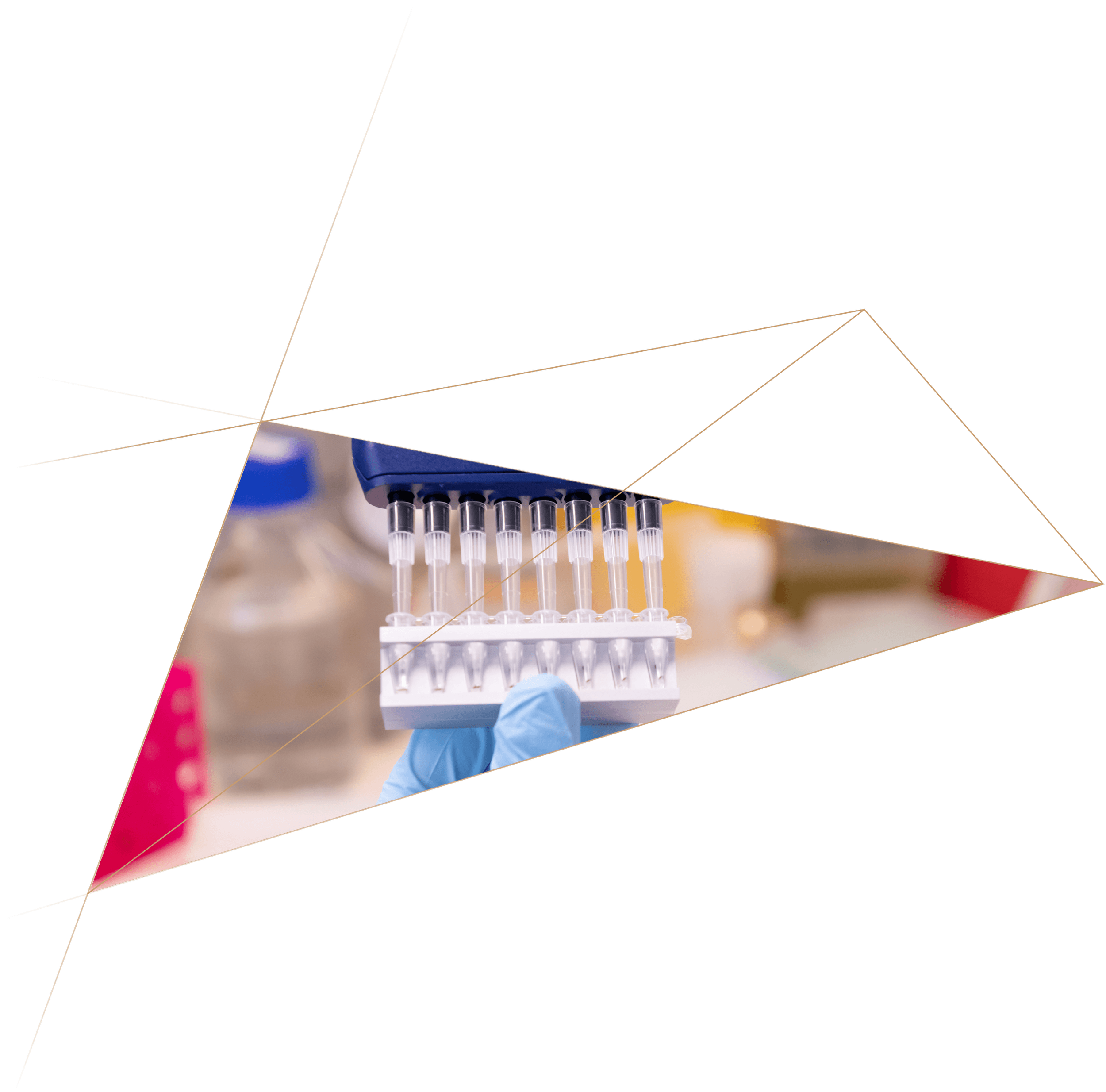 A laboratory technician wearing blue gloves holding a tray with multiple pipettes in a laboratory setting.