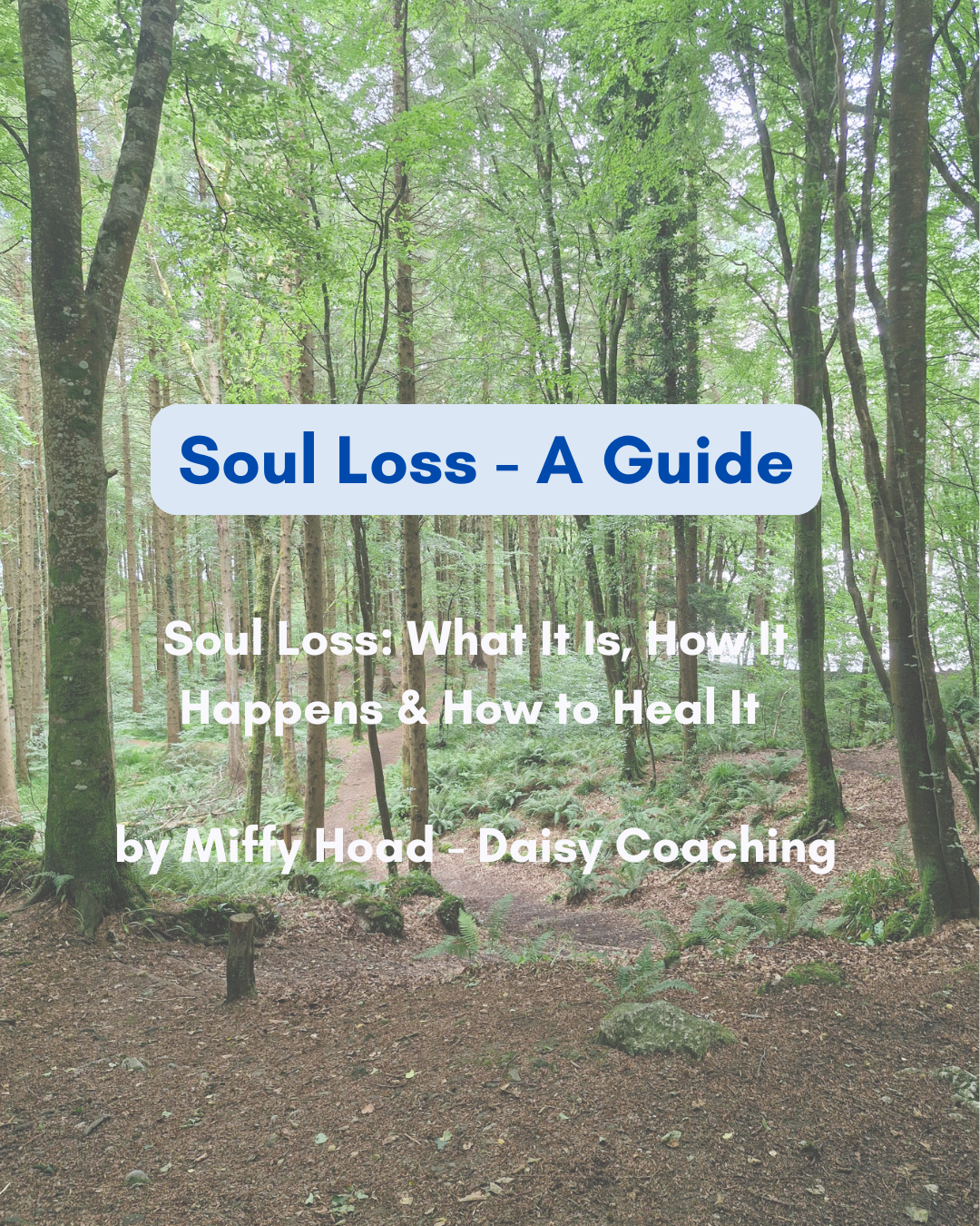 Soul Loss - A Guide Favicon.png