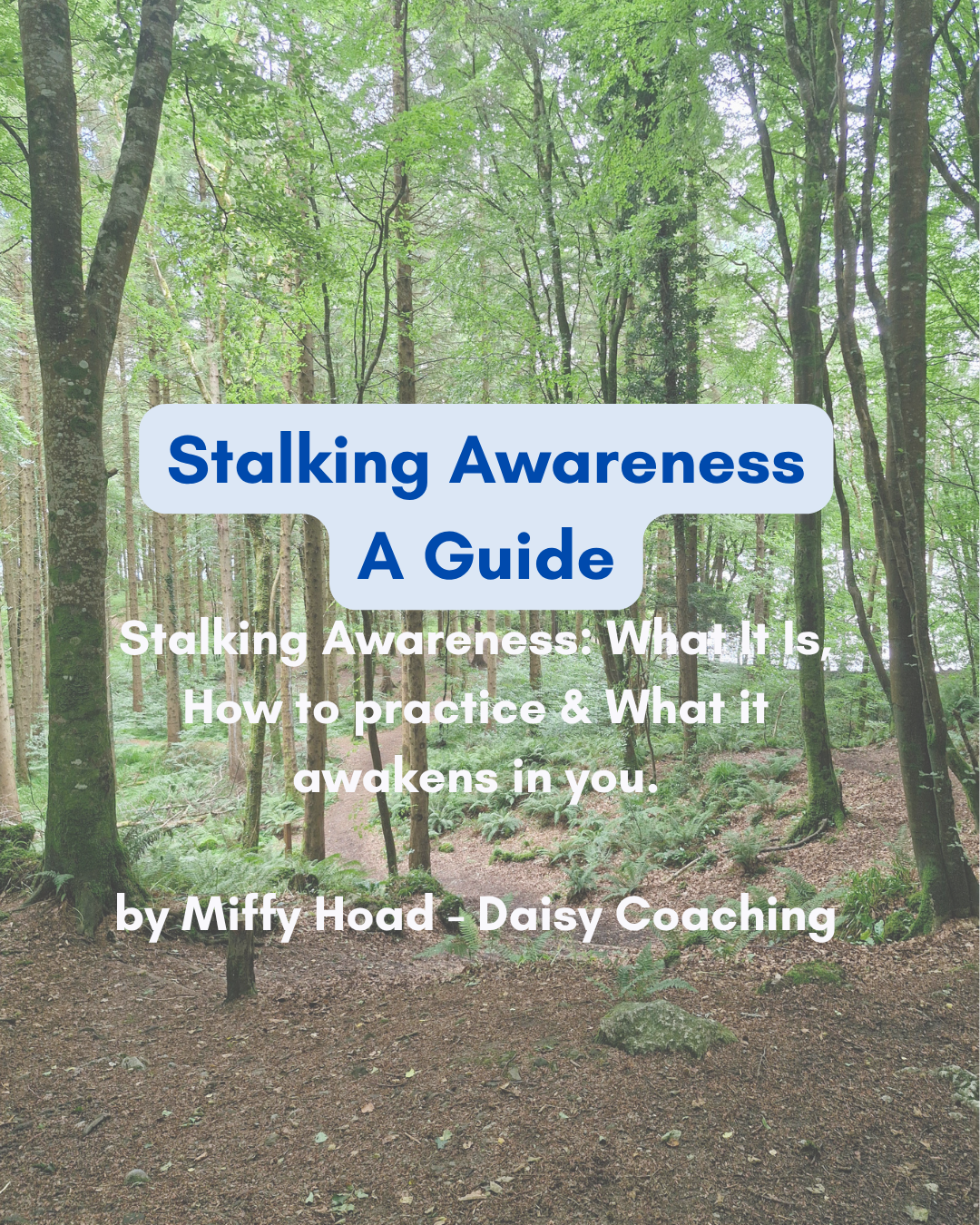 Stalking Awareness - A Guide