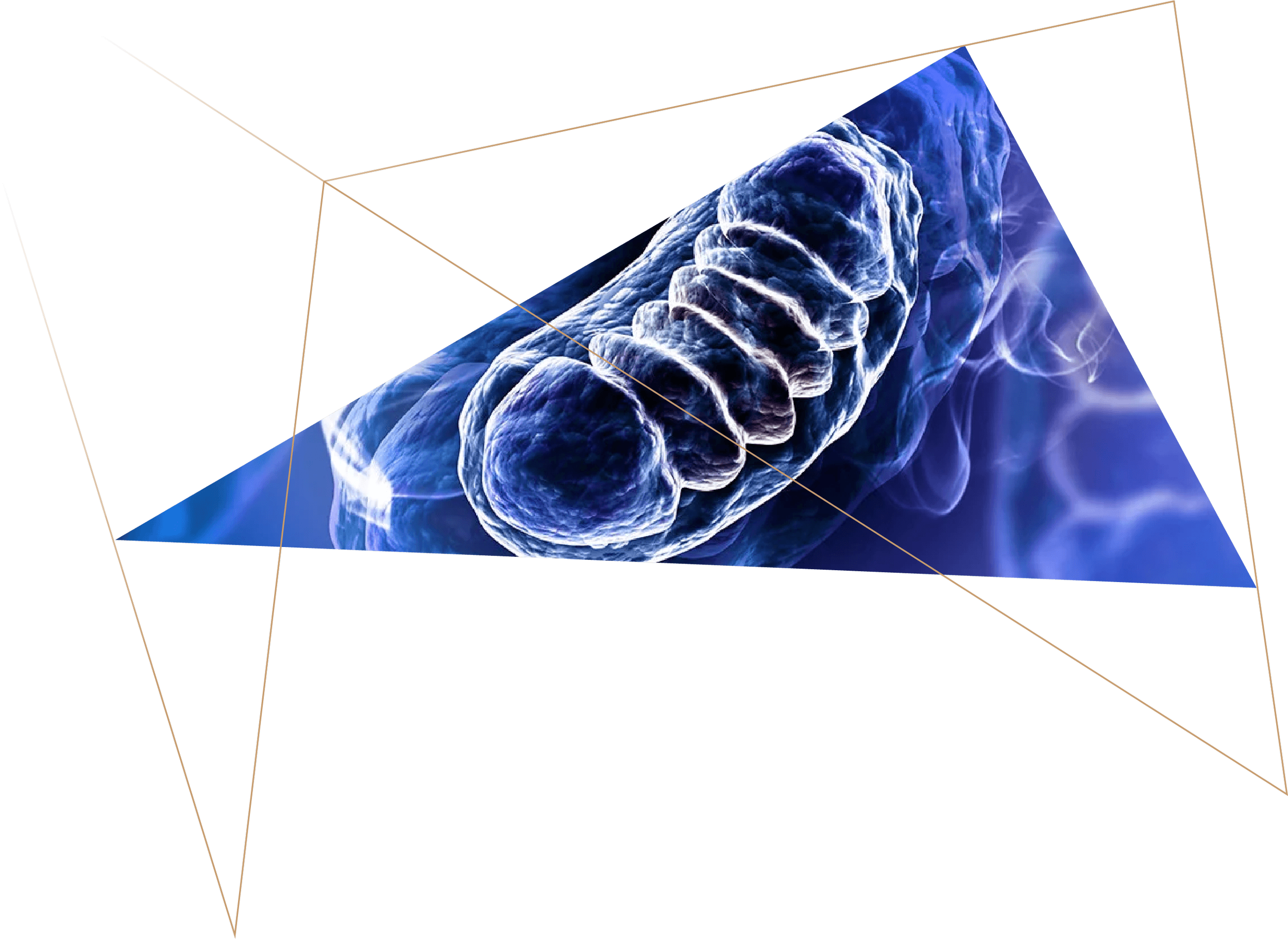 A computer-generated 3D rendering of a bacteria or virus particle inside a transparent geometric shape backdrop.