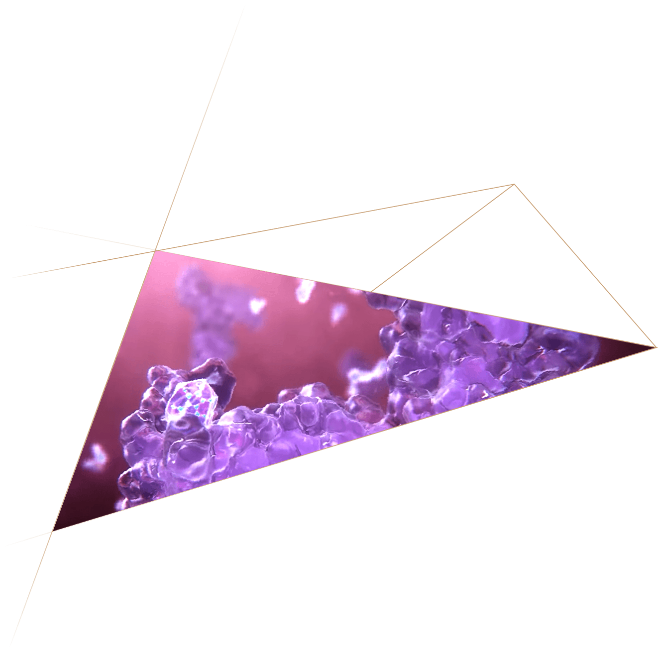 Microscopic view of purple crystalline structures.