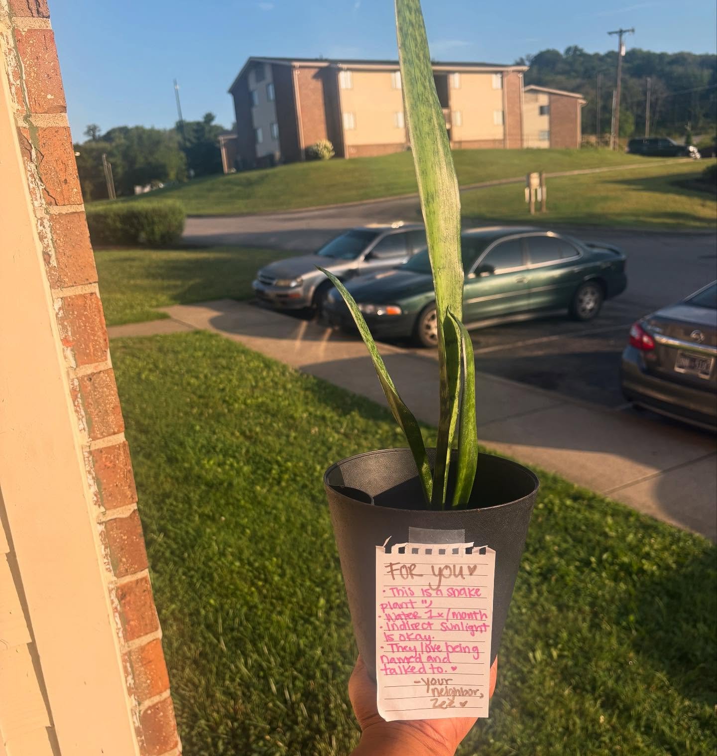 I hope you see this post in the morning hours. I successfully propagated this leaf. It's a gift for my neighbor. I'm so happy right now.