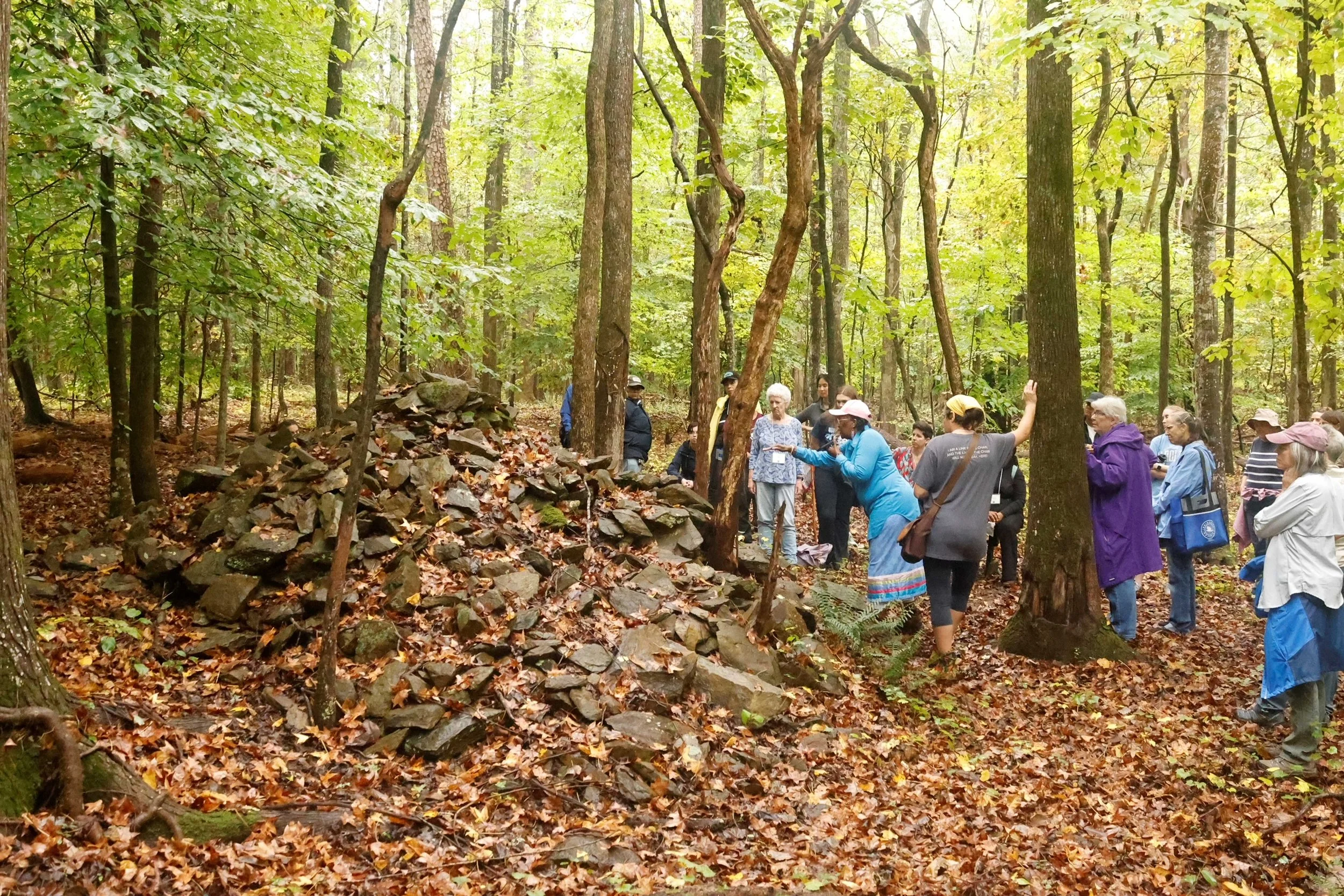 Copy of _15A5673.JPG