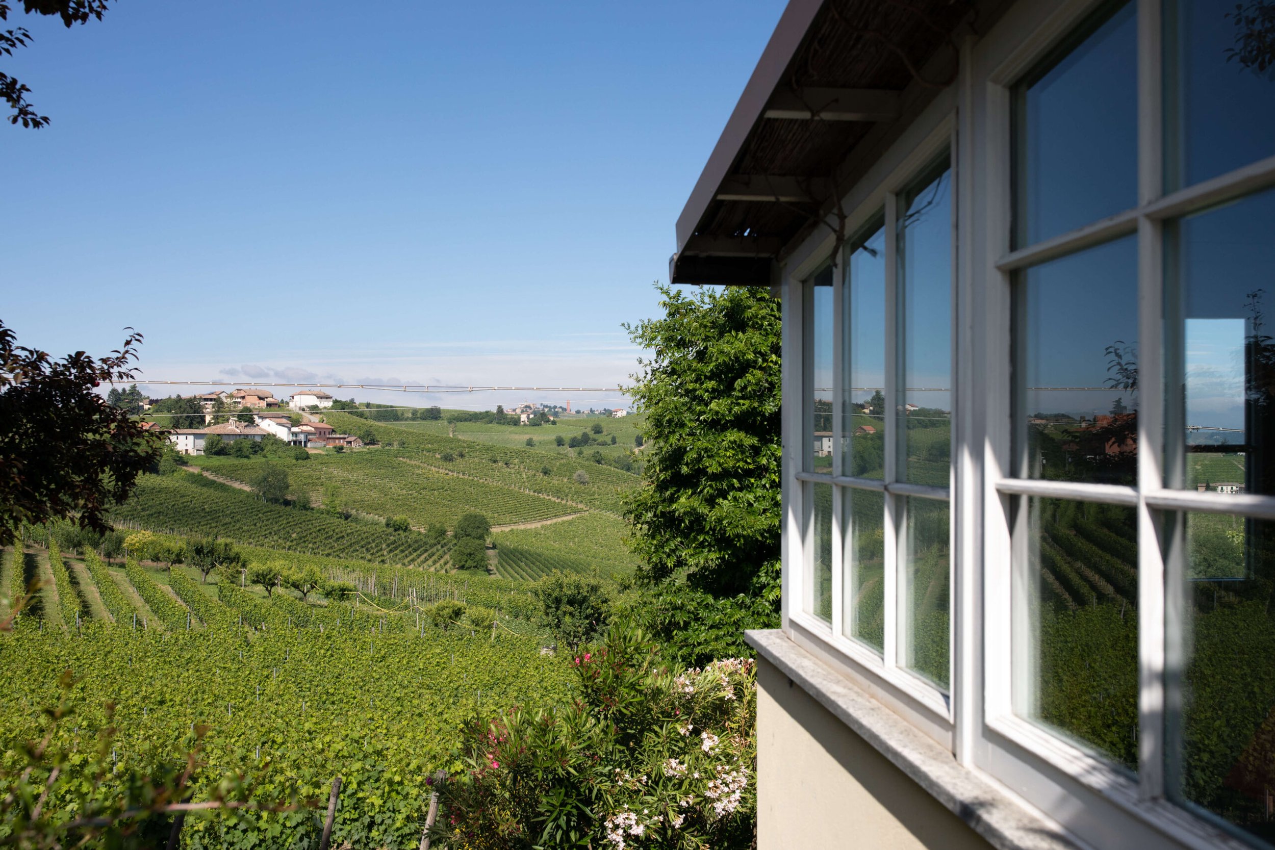 Vineyard landscape with a building reflecting in a window, featuring green fields and a small village under a blue sky.