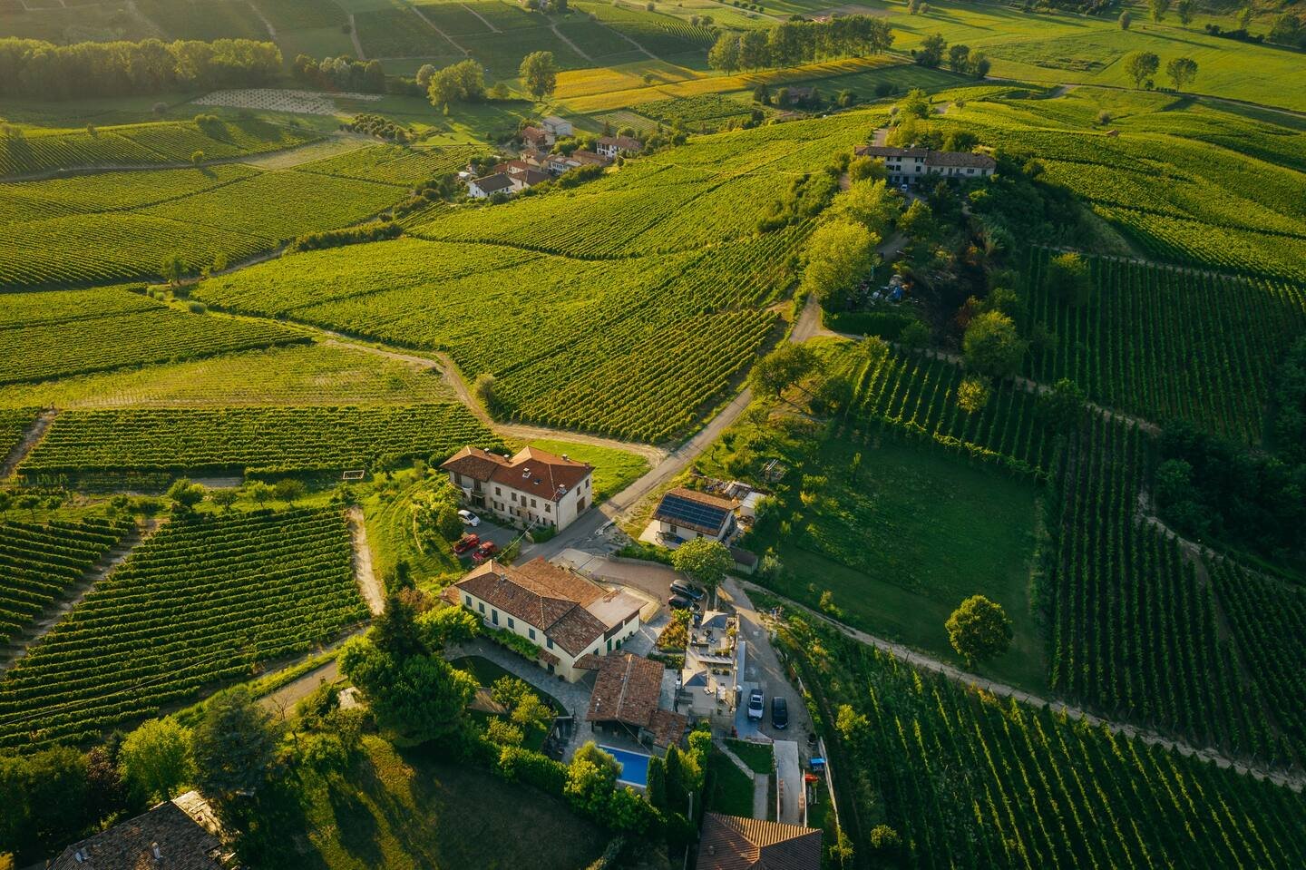 Aerial view of vineyards with farmhouses on rolling hills, surrounded by lush greenery and trees.