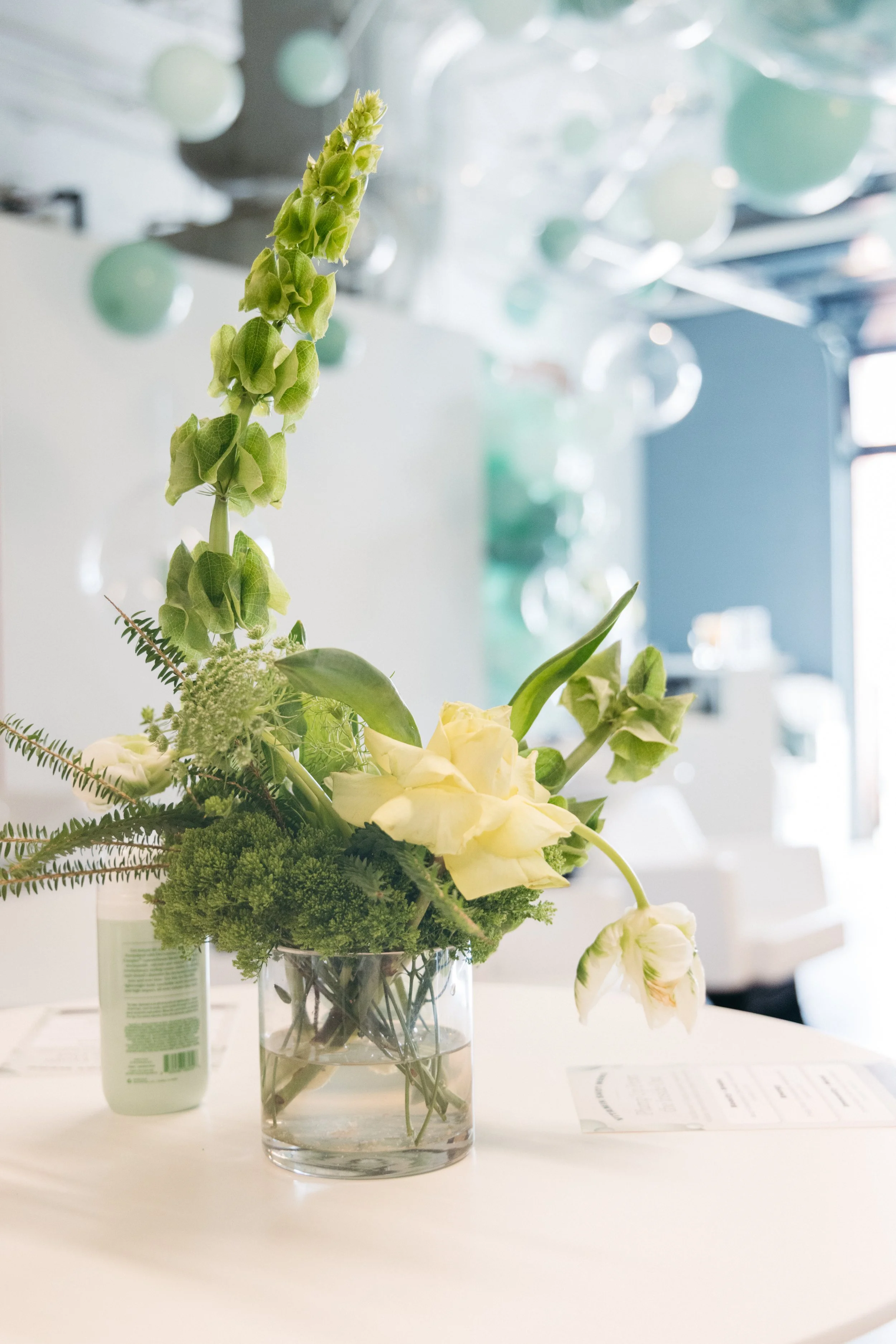 Strand Plumper-007.jpg