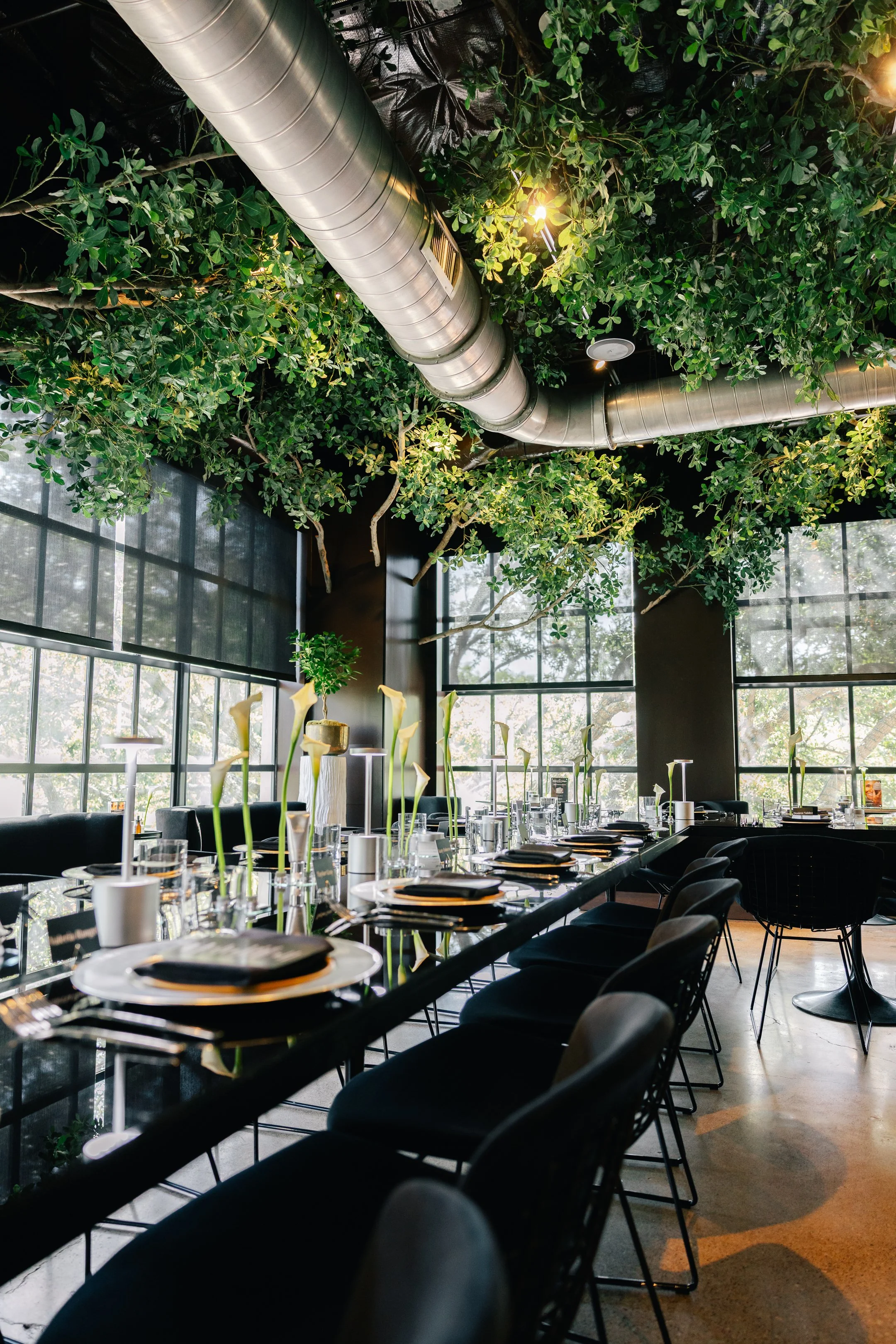 Medik8-Dallas Event-18.jpg