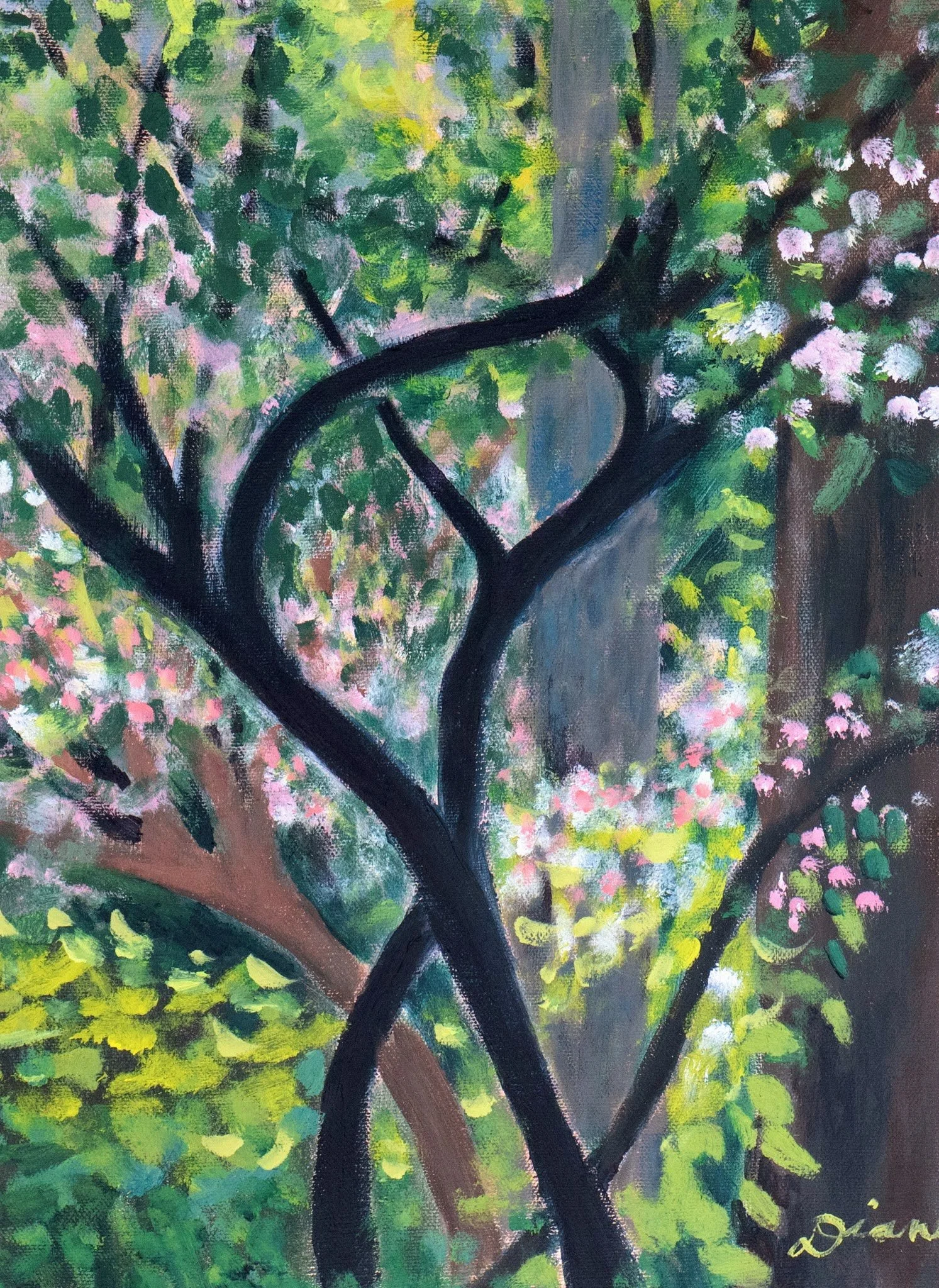 Dancing Trees June 13th 2.jpg