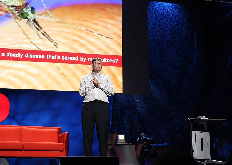 The Education of Bill Gates