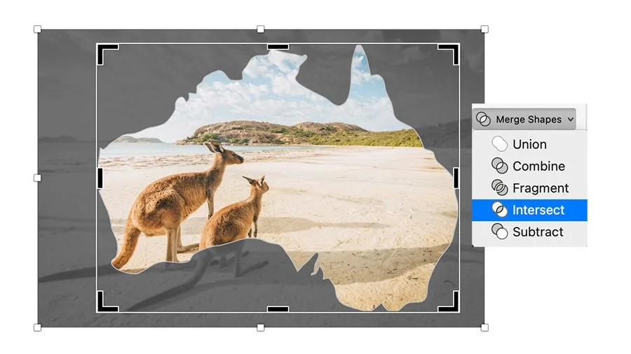 5 PowerPoint Cropping Tricks You Didn’t Know Were Possible | Nolan ...