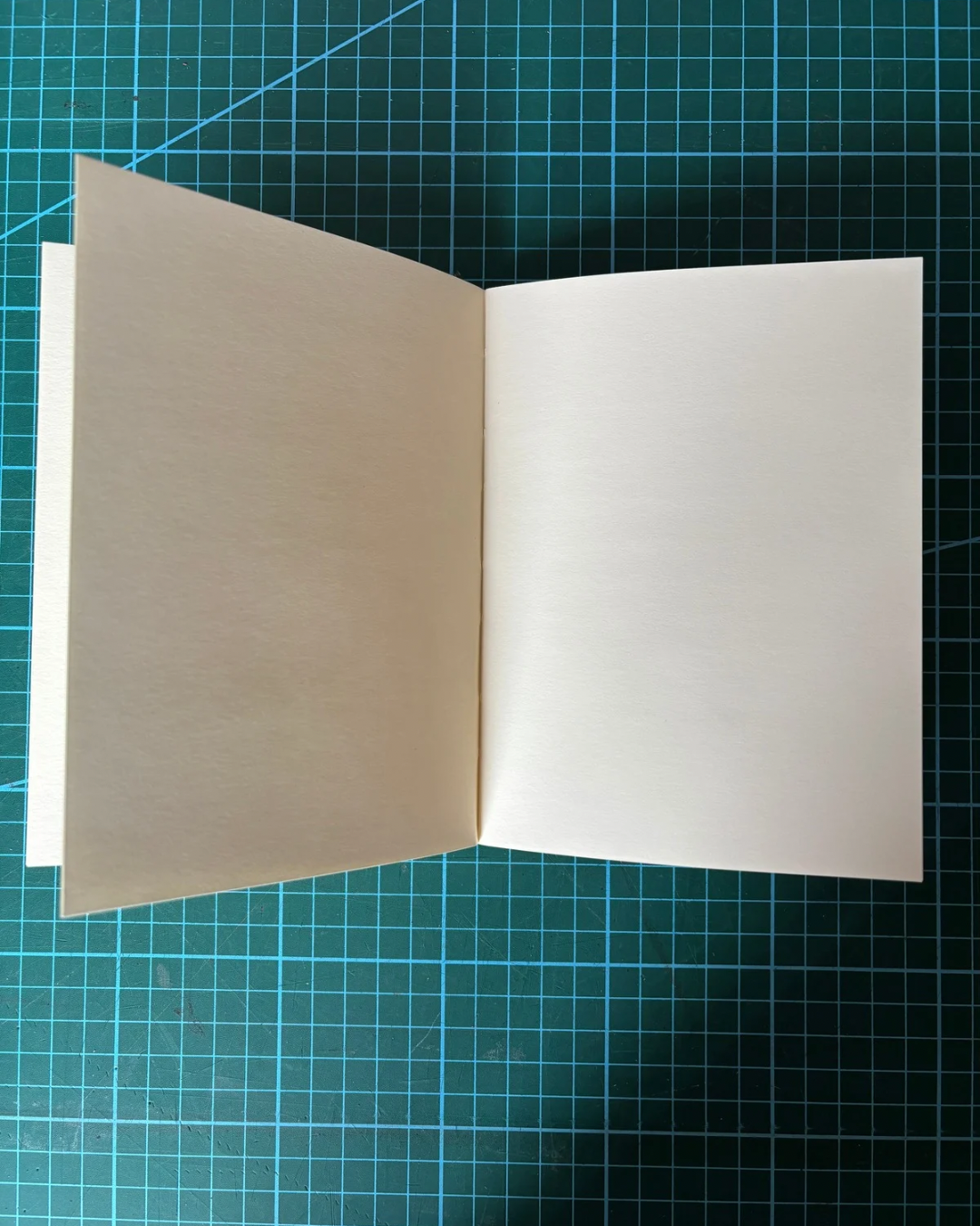 Mini Journal and pen - 25.png