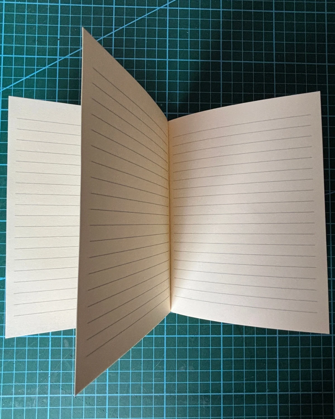 Mini Journal and pen - 24.png