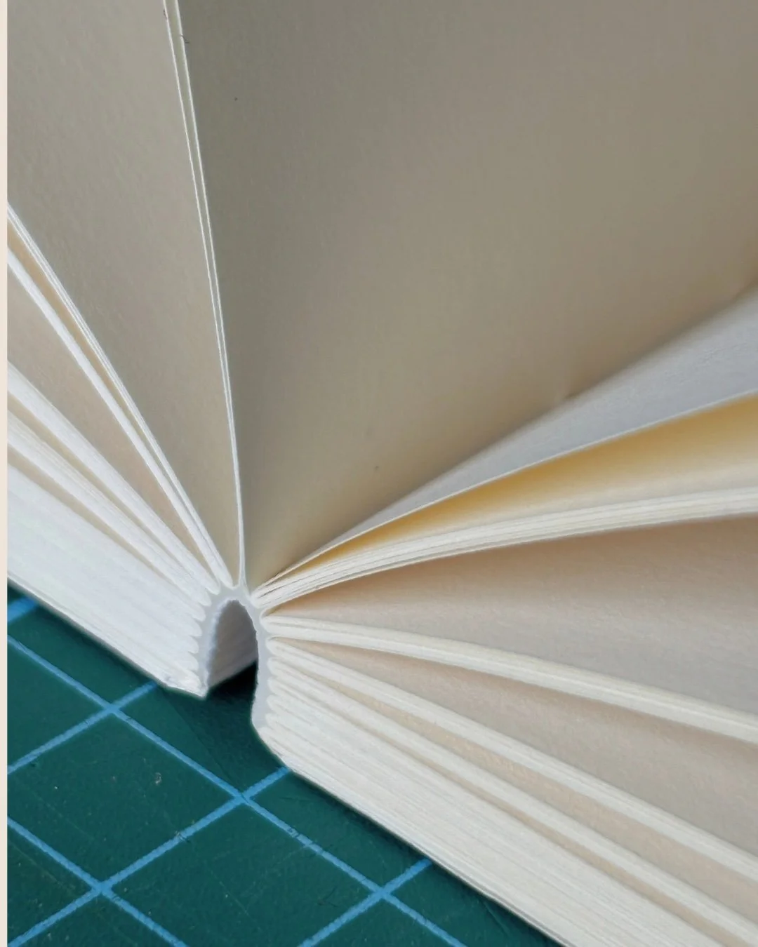Plain notebook with cream 100GSM pages on a green checked mat.jpg