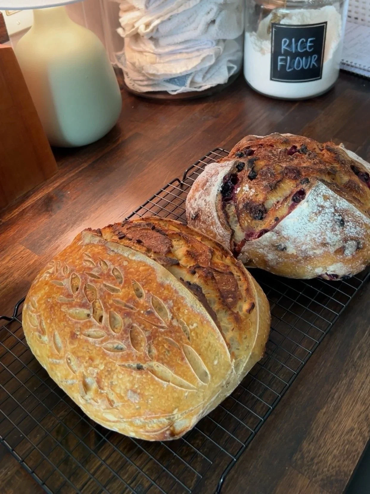 Recent Artisan Sourdough Loaves✨🥖