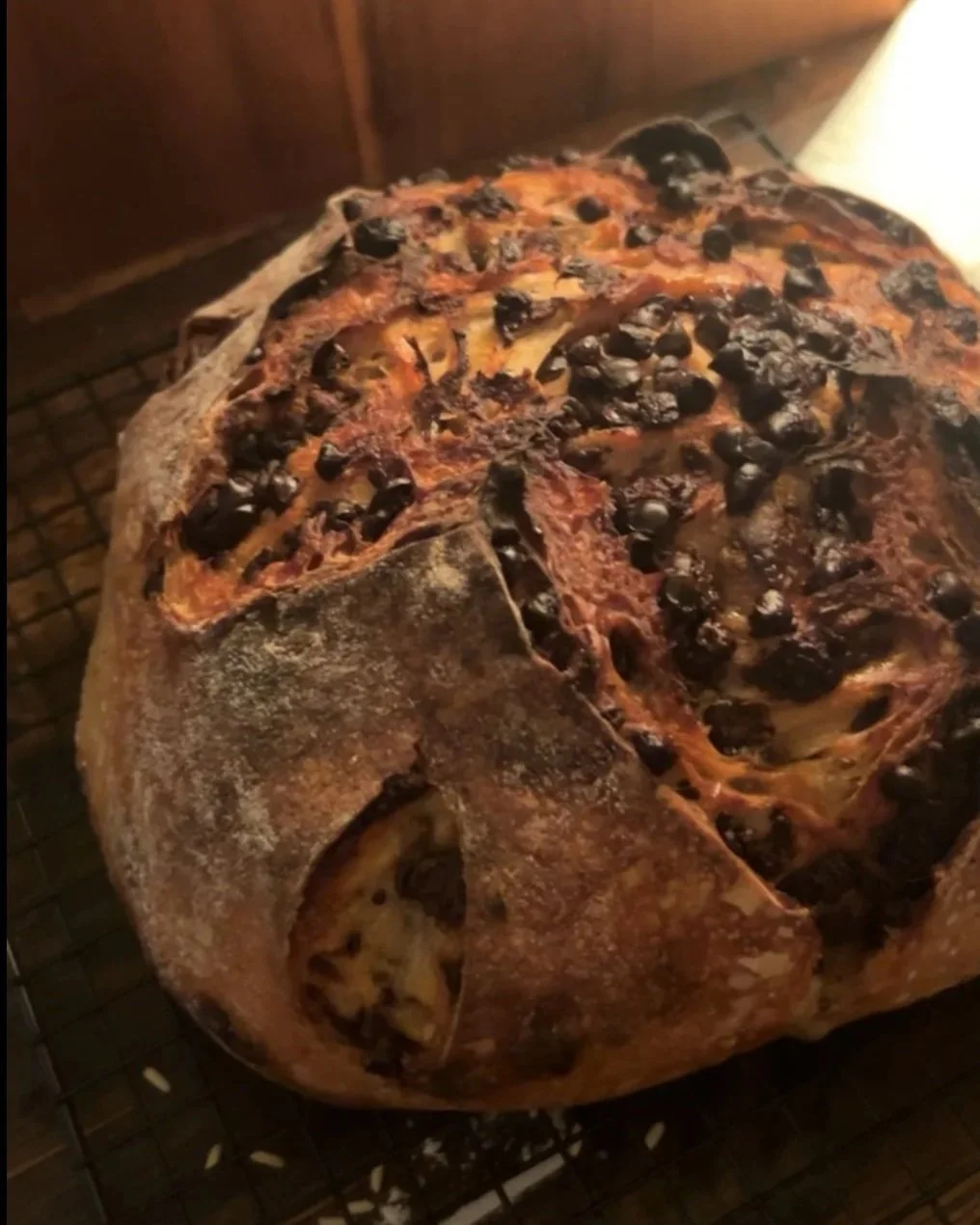 Double Chocolate Chip